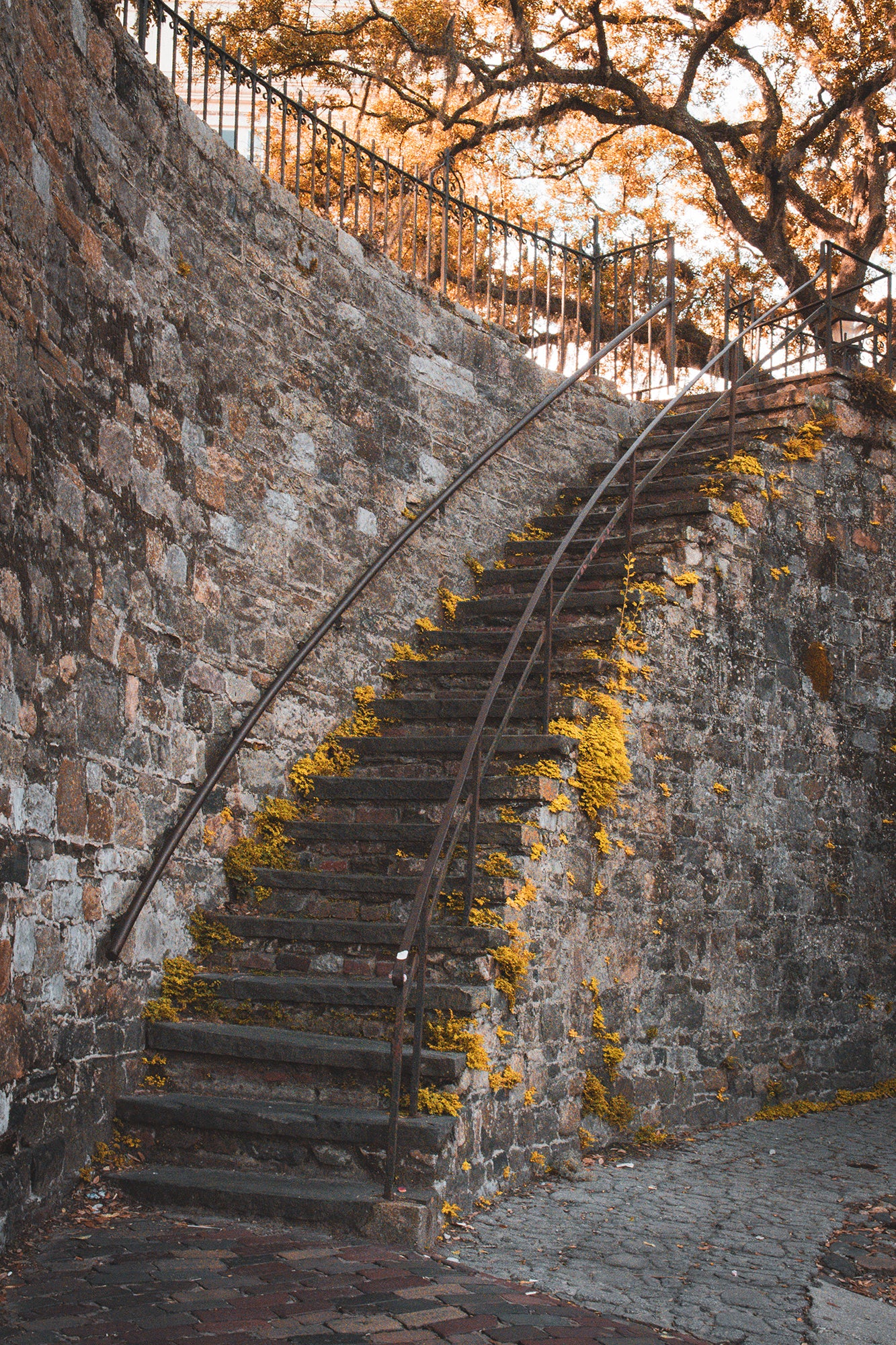 Old Stone Stairs River Street Savannah GA Canvas Wall Art Prints