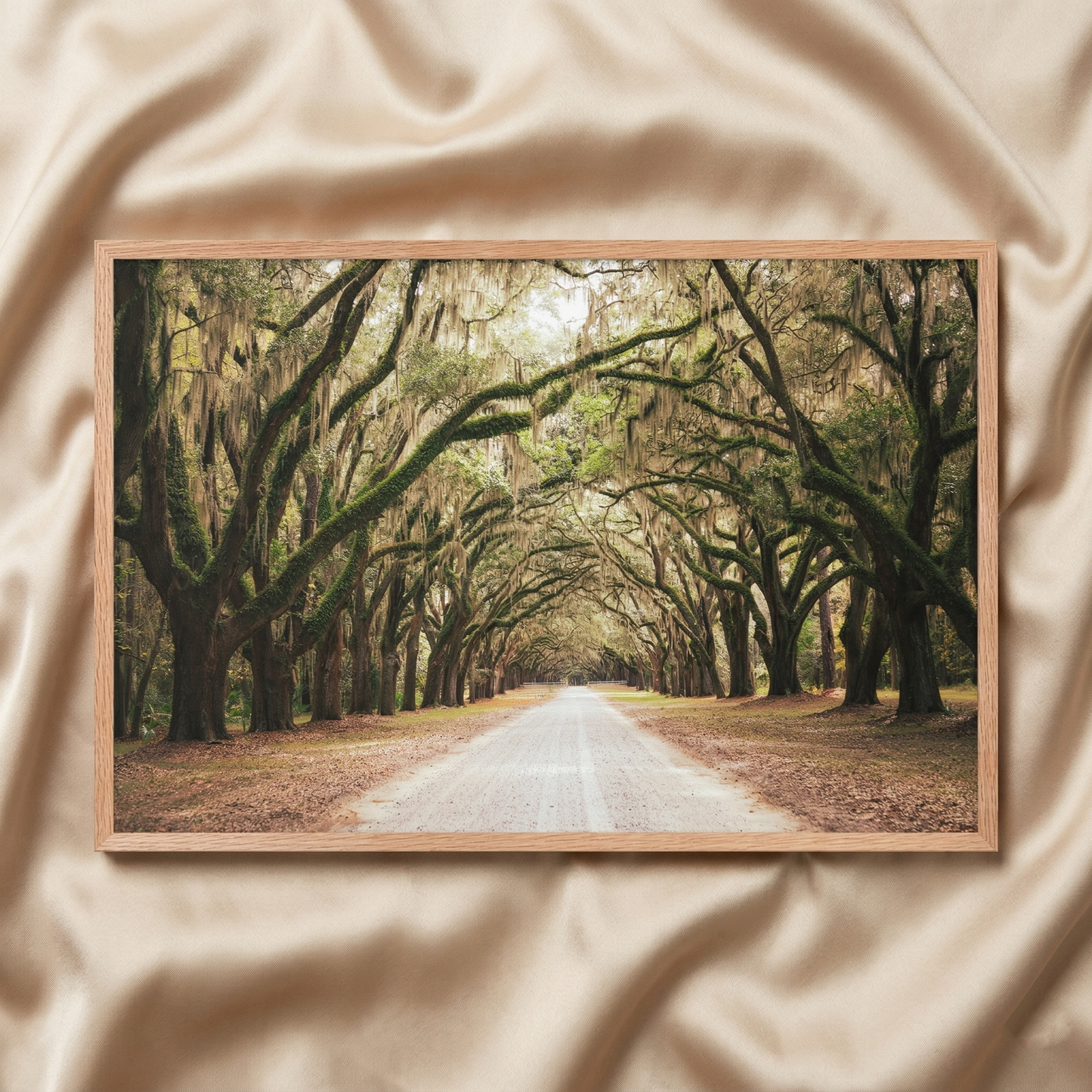 Rustic Contemporary Wall Decor Live Oaks and Spanish Moss Road Way Savannah Ga Landscape Photograph Framed Wall Art Print - Natural