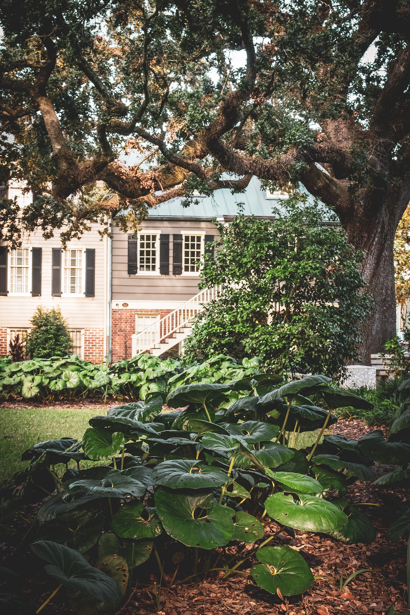 Simon Mirault House and Washington Square Park Savannah GA Canvas Wall Art Prints