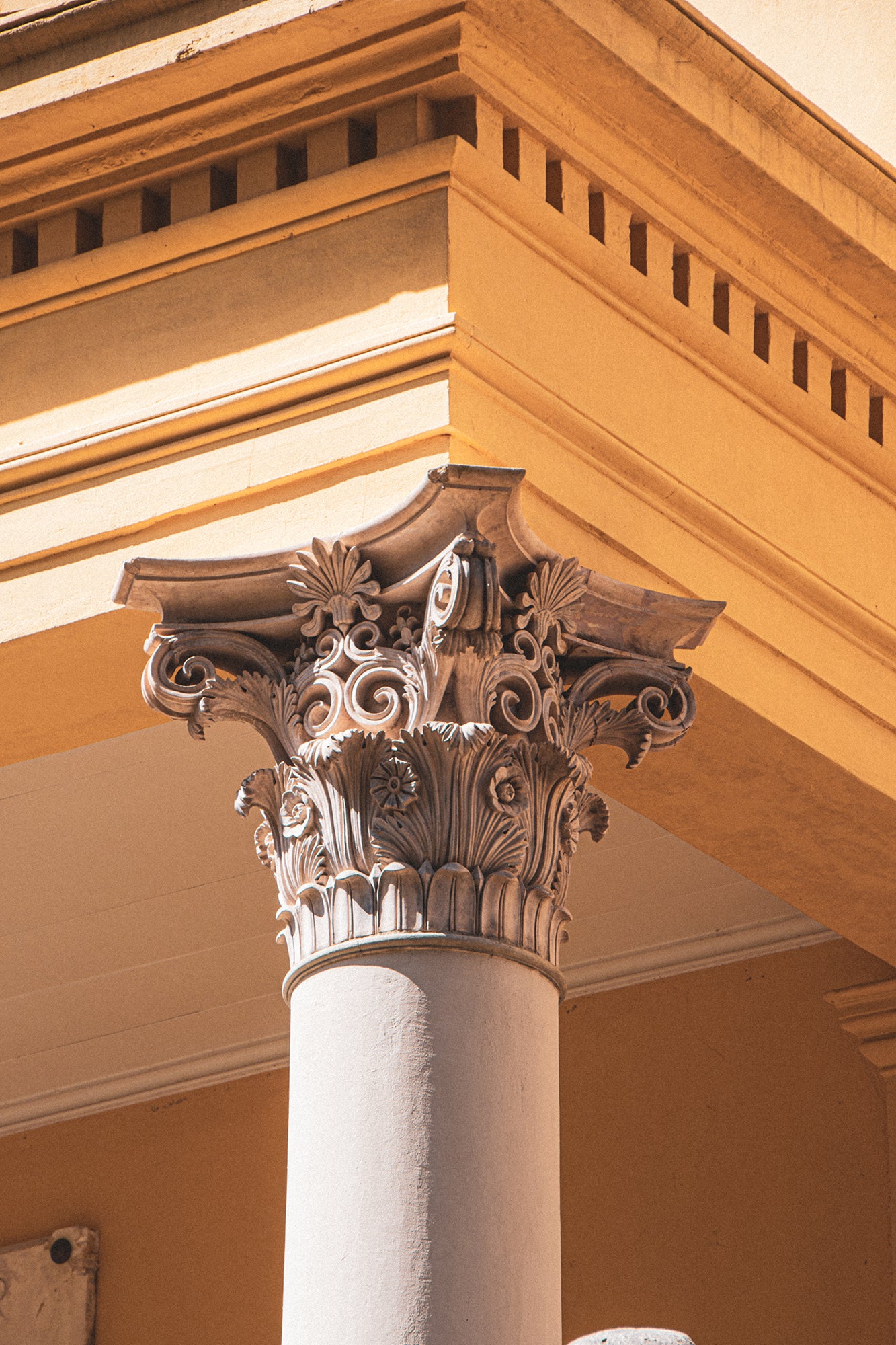 Architectural / Industrial / Cityscape Abstract Decor Telfair Academy Museums Corinthian Column Savannah Ga Loose Wall Art Print