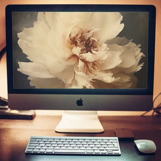 The Elegance of Simplicity Peony Retro Subdued Photorealistic Digital Artwork Wallpaper for Computer Monitors Smart TVs and Laptop Screens