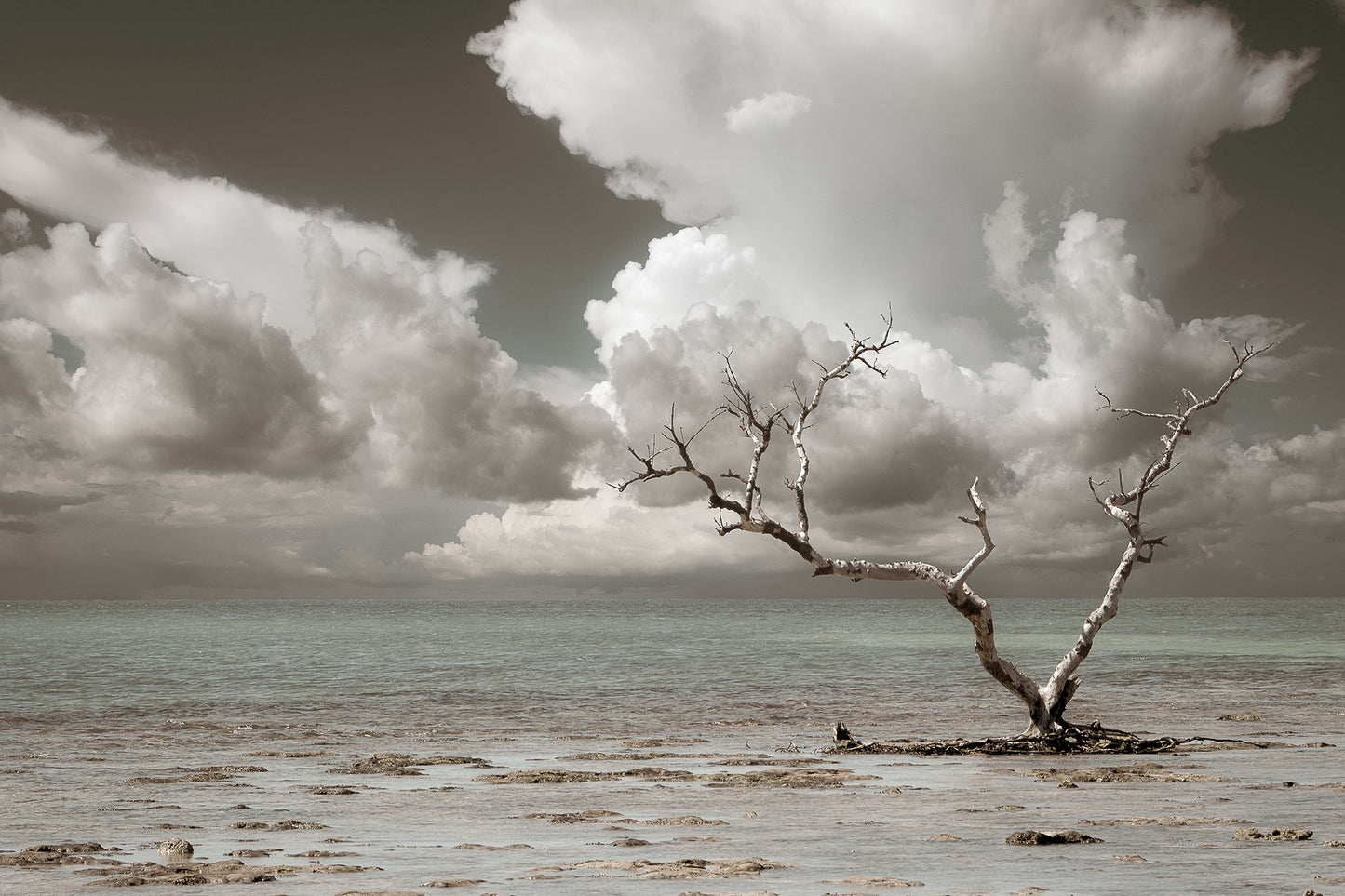 Wanderlust Aged and Colorized Coastal Landscape Photo DIY Wall Decor Instant Download Print - Printable full size preview