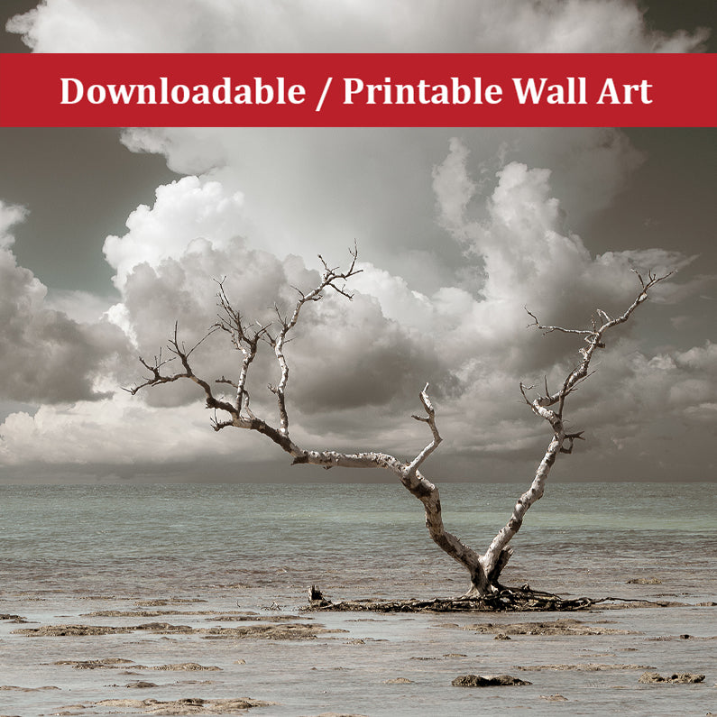 Wanderlust Aged and Colorized Coastal Landscape Photo DIY Wall Decor Instant Download Print - Printable