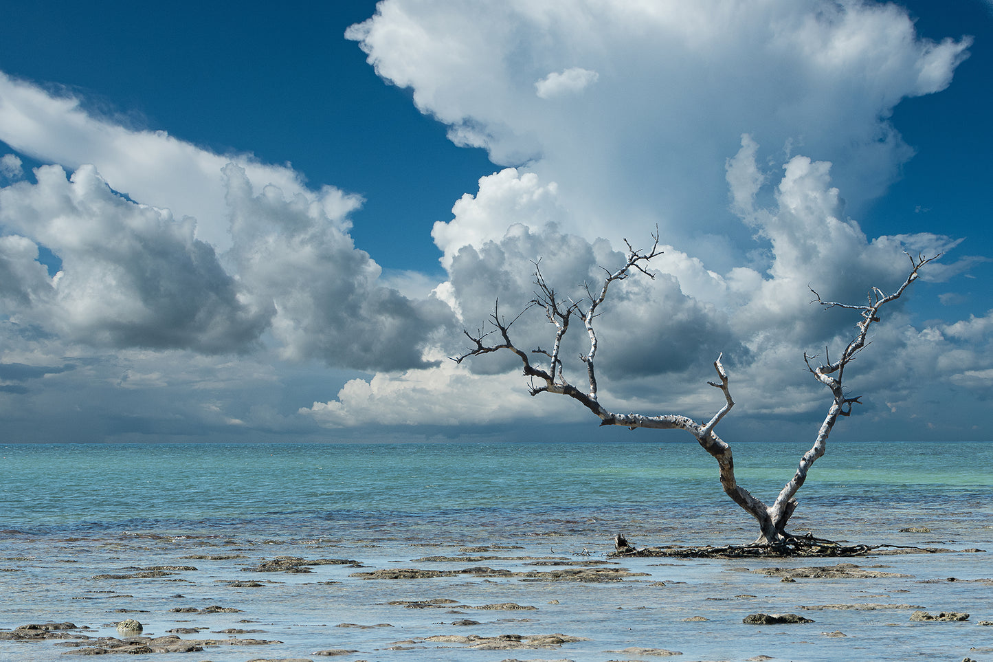 Wanderlust Traditional Color Coastal Landscape Photograph
