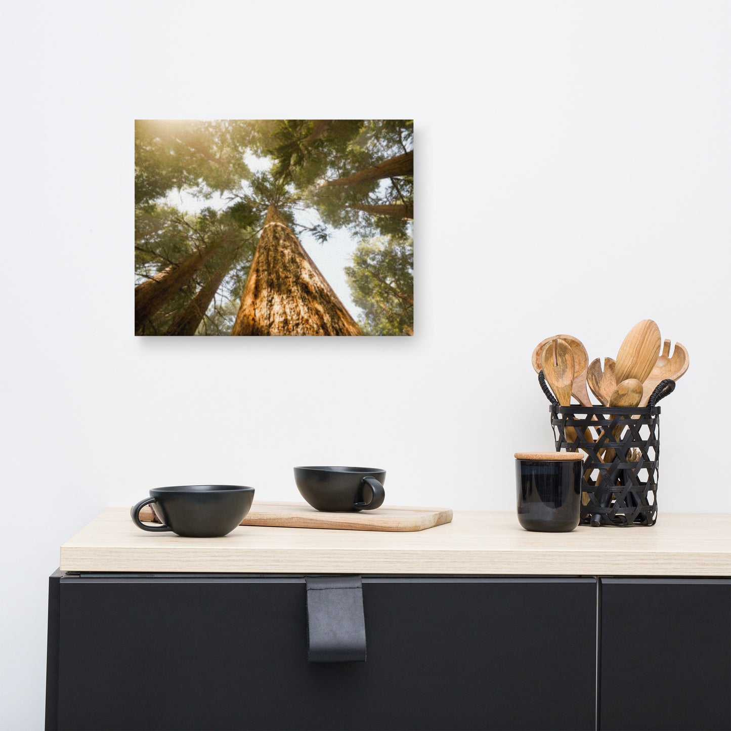 Looking Up Pine Trees Botanical Nature Photograph Canvas Wall Art Print