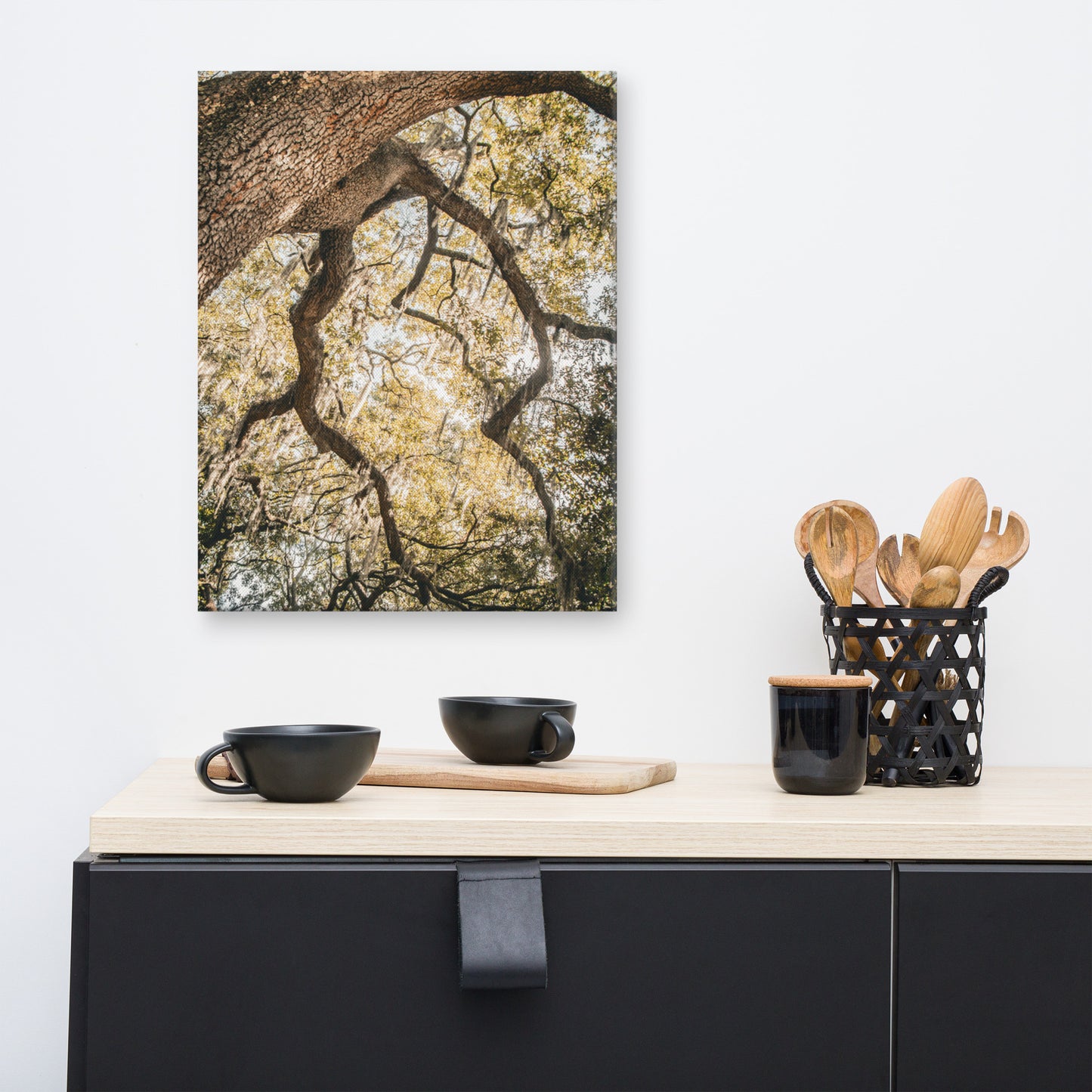 Live Oak and Spanish Moss Forsyth Park Savannah GA 2 Canvas Wall Art Print