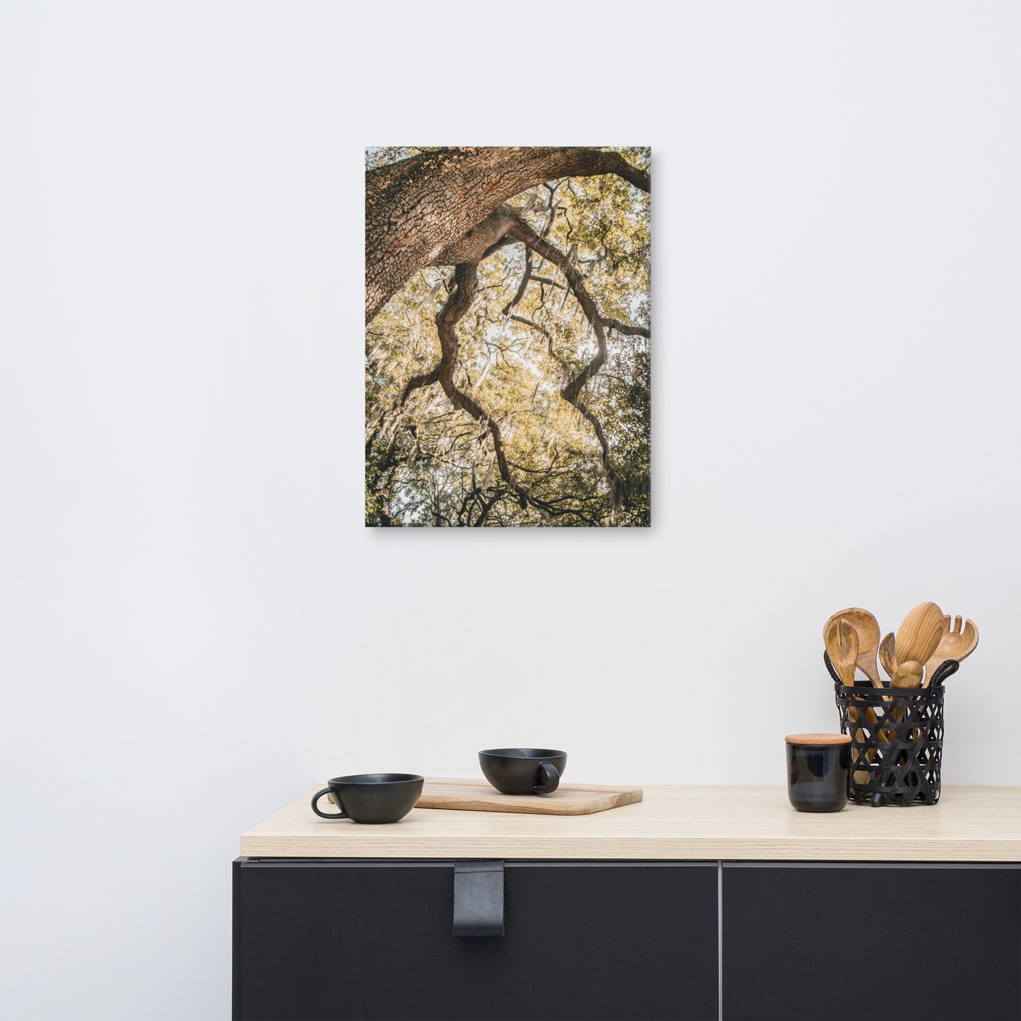 Live Oak and Spanish Moss Forsyth Park Savannah GA 2 Canvas Wall Art Print