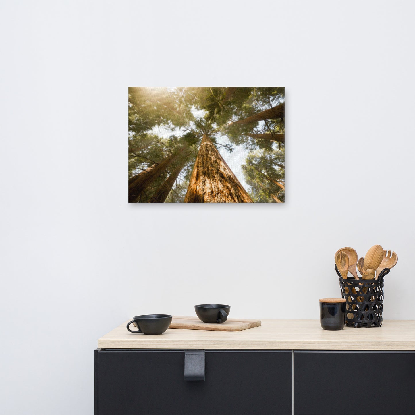 Looking Up Pine Trees Botanical Nature Photograph Canvas Wall Art Print