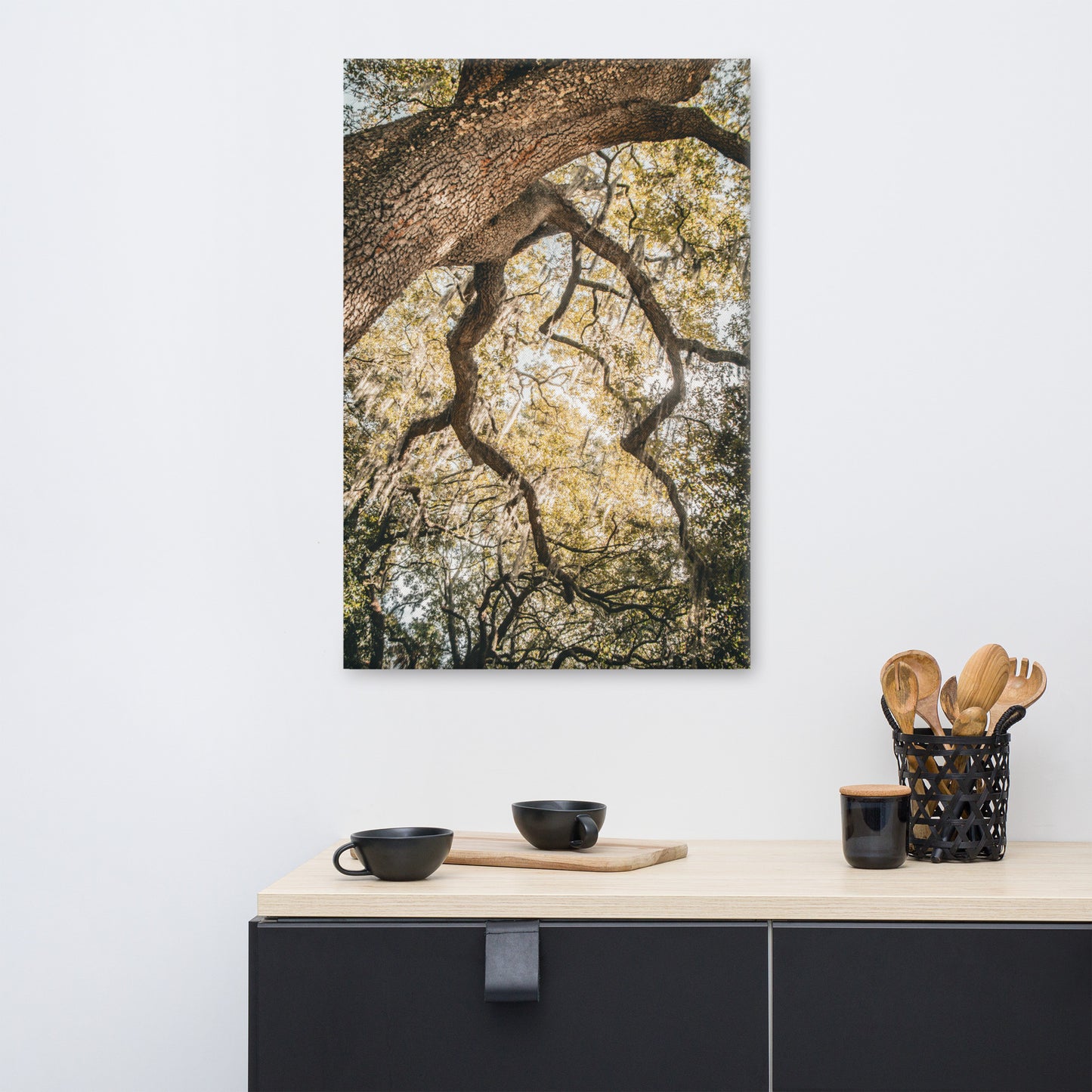 Live Oak and Spanish Moss Forsyth Park Savannah GA 2 Canvas Wall Art Print