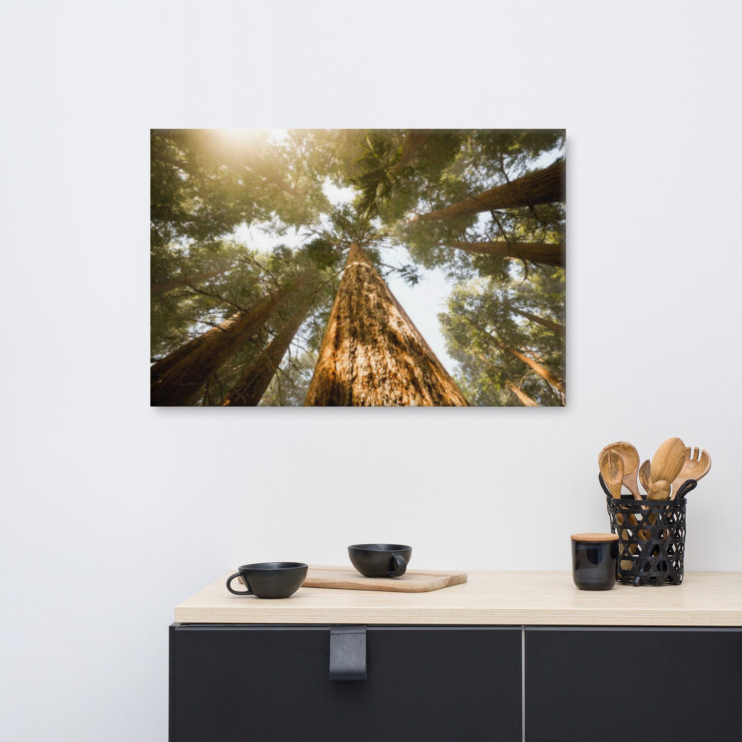 Looking Up Pine Trees Botanical Nature Photograph Canvas Wall Art Print