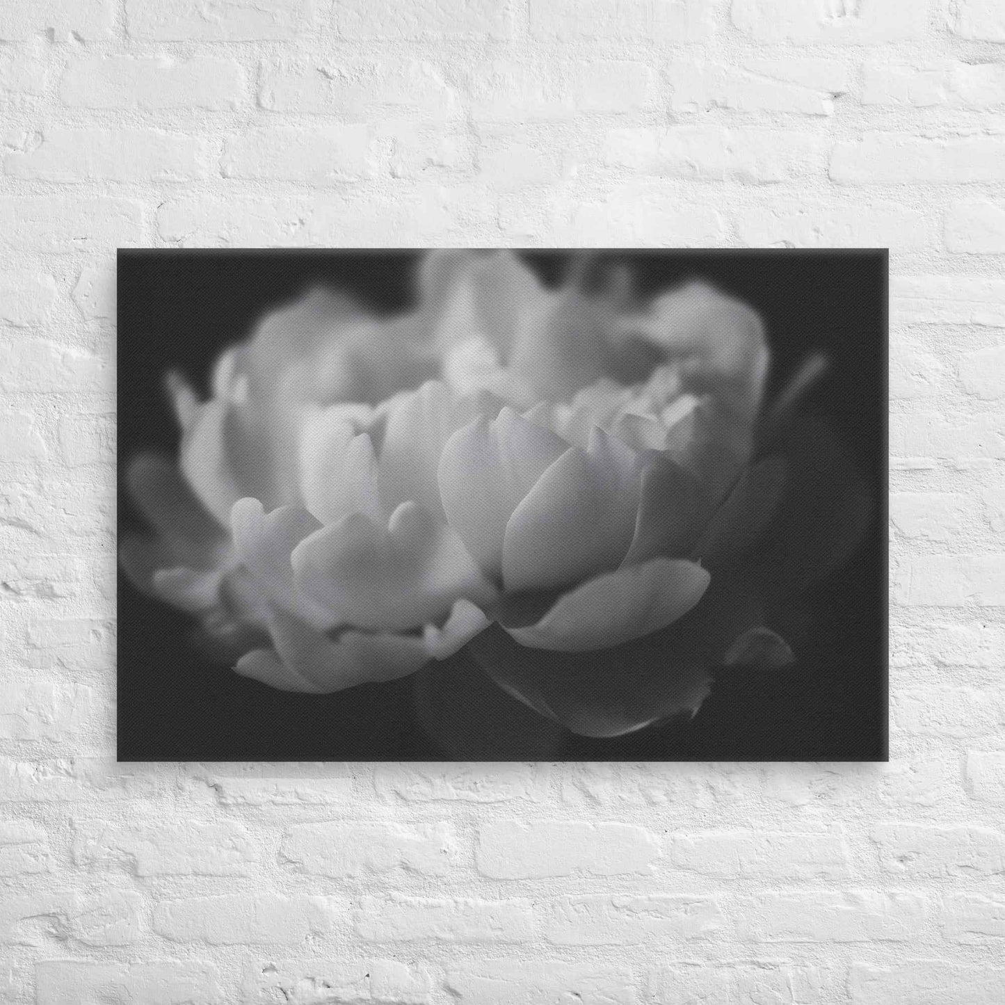 Contrast in Nature Floral Photorealistic Digital Artwork Peonies Wall Art Black and White Canvas Wall Art Print