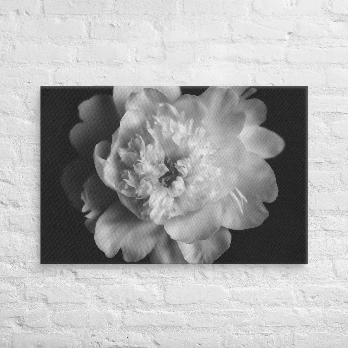 Lingering Fragrance Floral Photorealistic Digital Artwork Peonies Print Canvas Wall Art