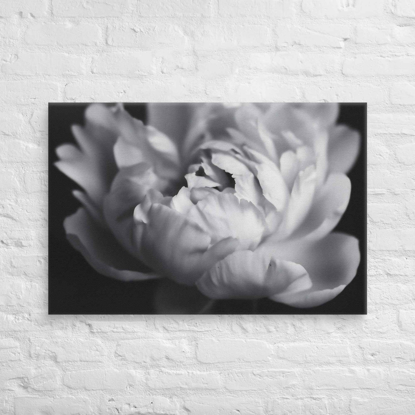 Shadow and Silk Floral Photorealistic Digital Art Peony Artwork Canvas Wall Art Print