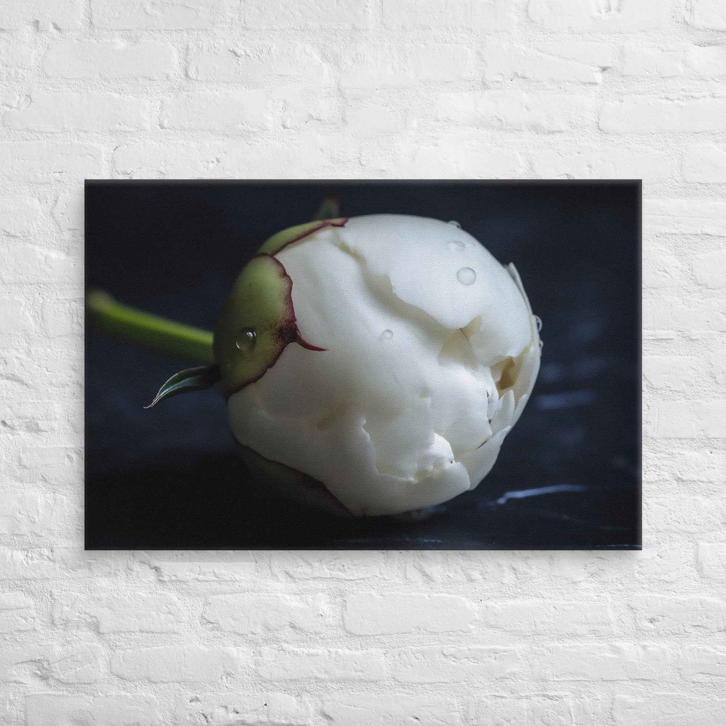 Stark Botanical Peony Bud Floral Photorealistic Digital Artwork Canvas Wall Art Print