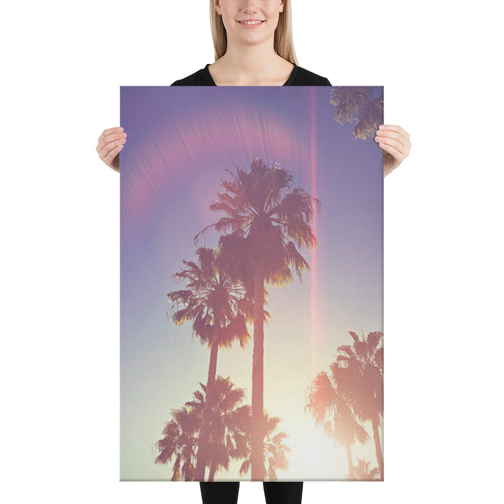 Retro Palm Trees Coastal Beach Botanical Nature Photograph Canvas Wall Art Print