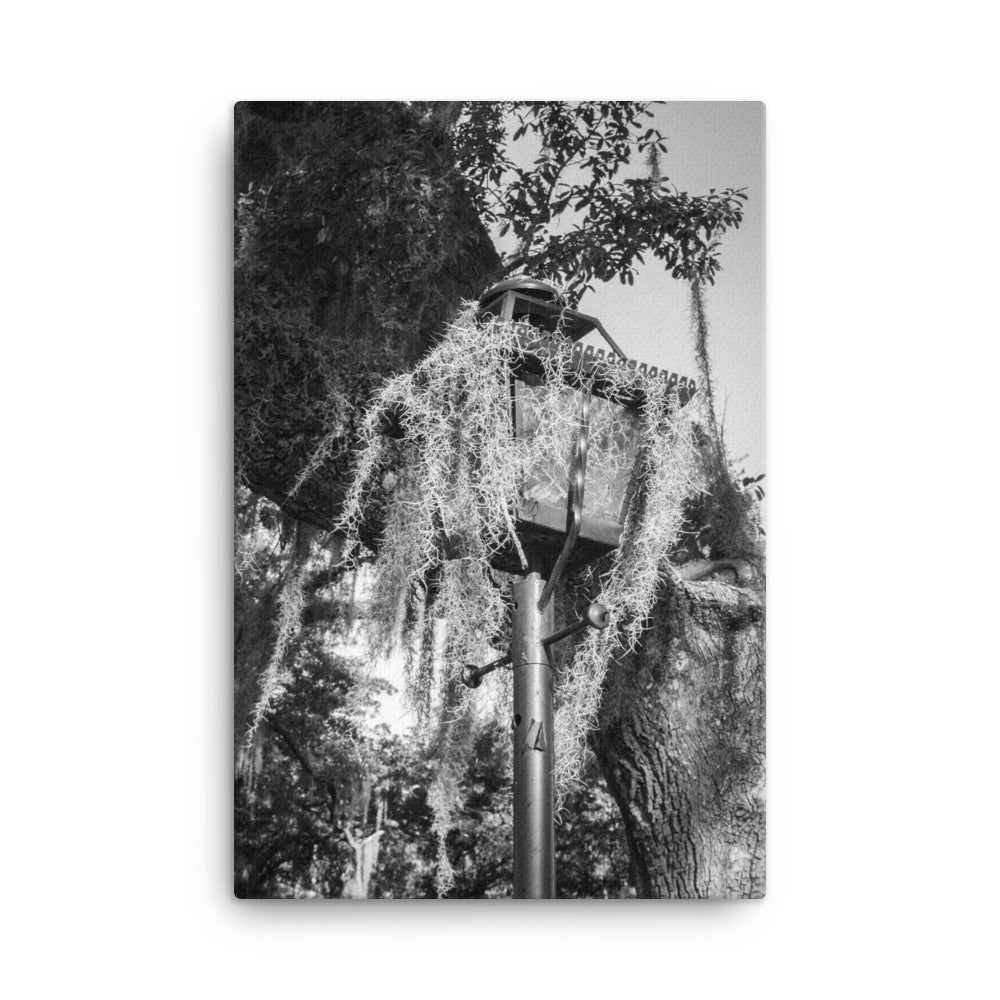 Wrought Iron Lamp Post and Spanish Moss Savannah Ga Canvas Wall Art Prints