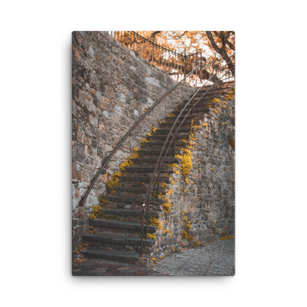 Old Stone Stairs River Street Savannah GA Canvas Wall Art Prints