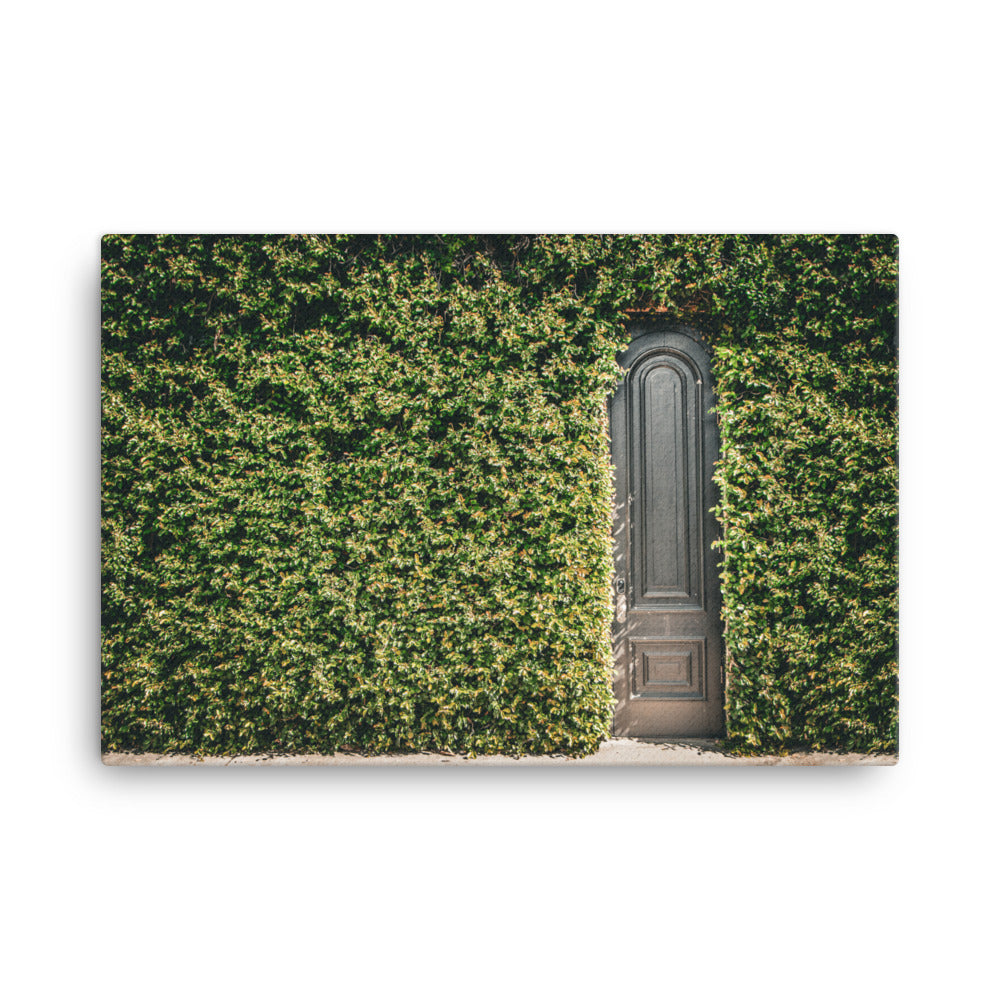 Old Wooden Door and Ivy W Perry Ln Savannah GA Canvas Wall Art Prints