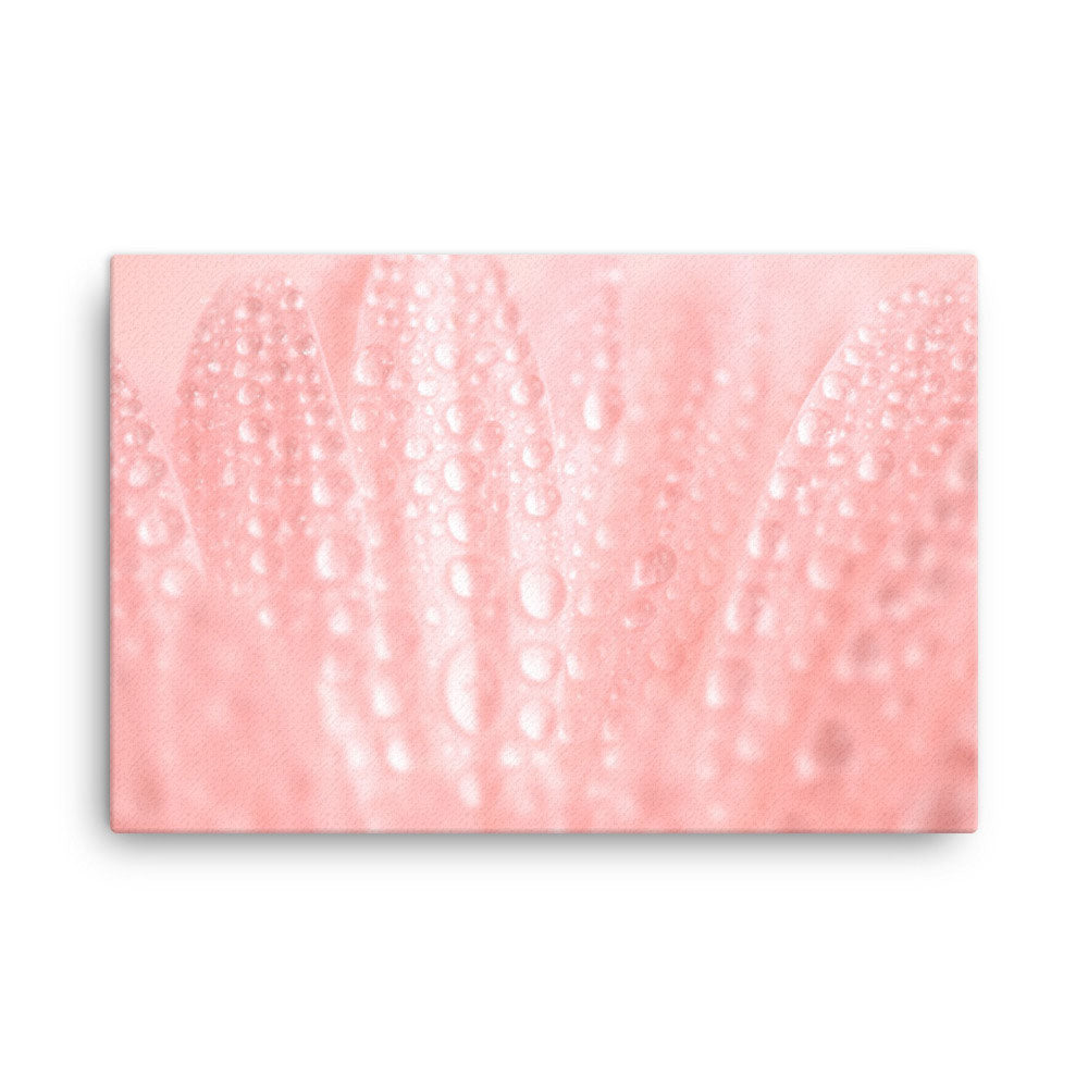 Flower Wall Canvas Art: Close-Up Pink Daisy Floral Botanical Photograph Shabby Chic - Vintage Canvas Wall Art Print