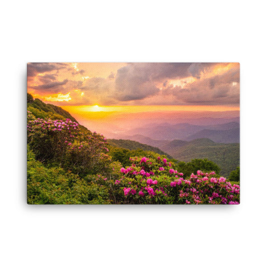 Master Bed Wall Decor: Close of the Day - Appalachian Mountains Sunset - Floral / Botanical / Rustic Landscape Photograph Asheville North Carolina Blue Ridge Parkway