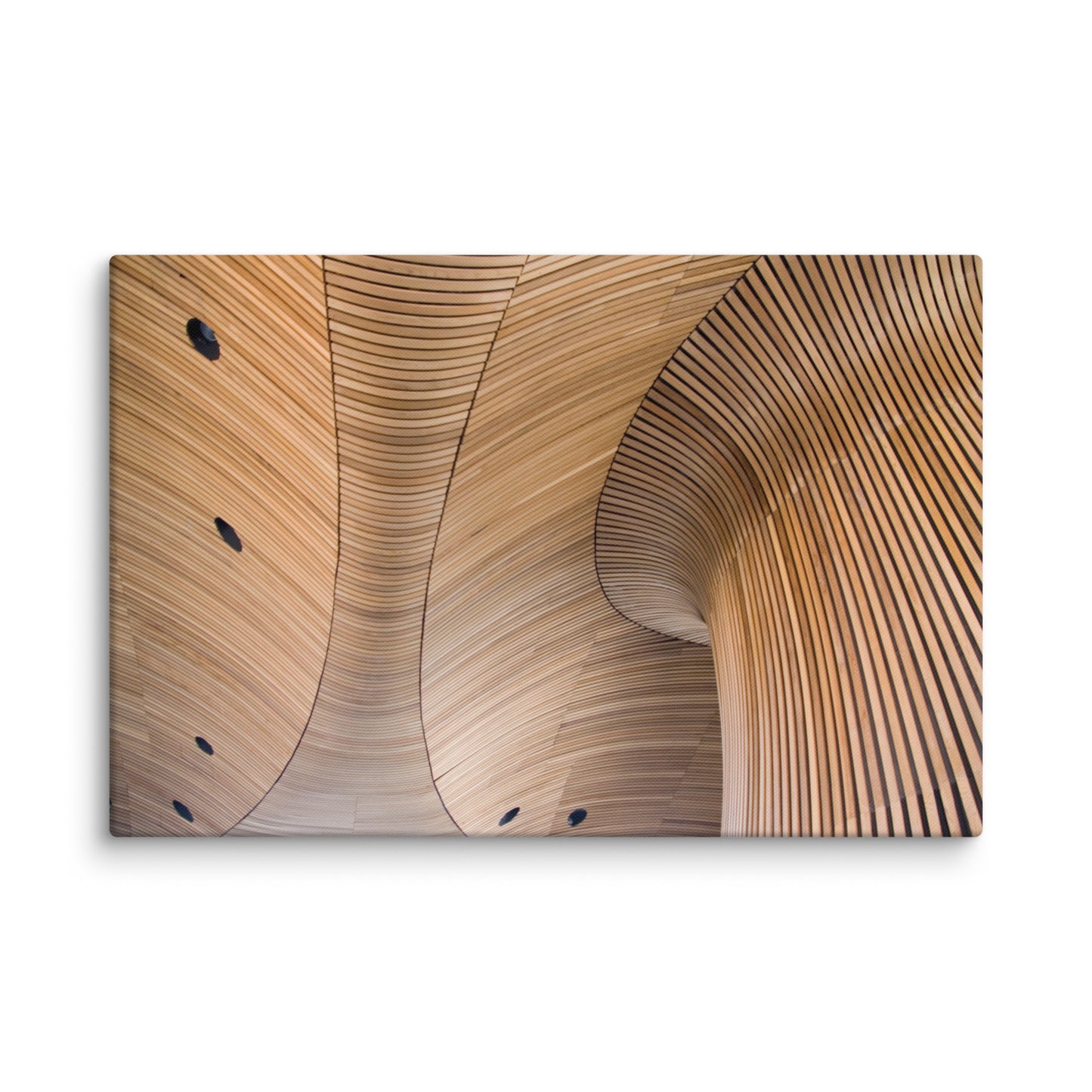Arboreal Rhythm Architectural Photograph Canvas Wall Art Print