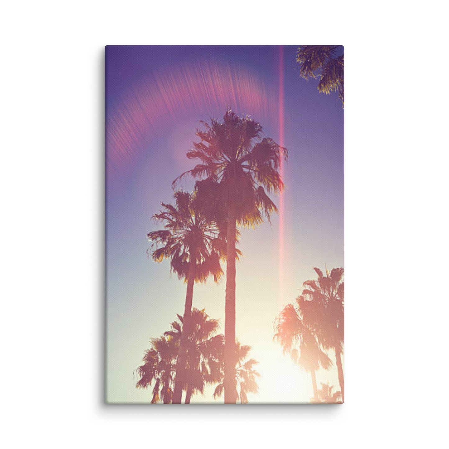 Retro Palm Trees Coastal Beach Botanical Nature Photograph Canvas Wall Art Print
