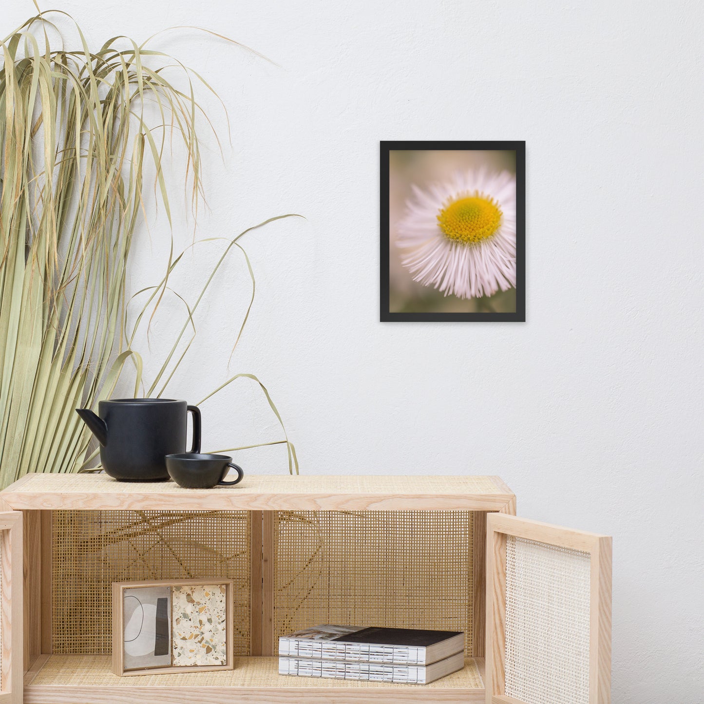 Philadelphia Fleabane Single Bloom Floral Nature Photo Framed Wall Art Print
