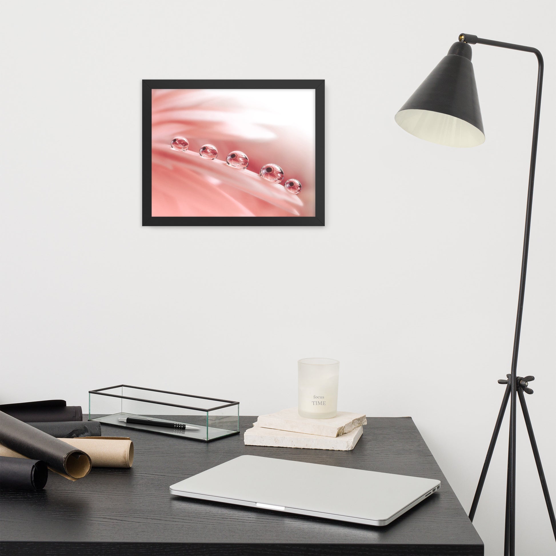 Photographies: Dew Drops on Gerbera Daisy Petals Floral Botanical Photograph Shabby Chic - Vintage Framed Wall Art Print