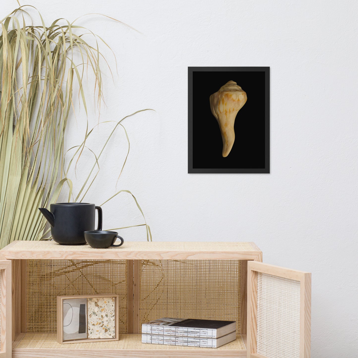 States of Erosion Image 9 Whelk Shell Coastal Nature Photo Framed Wall Art Print