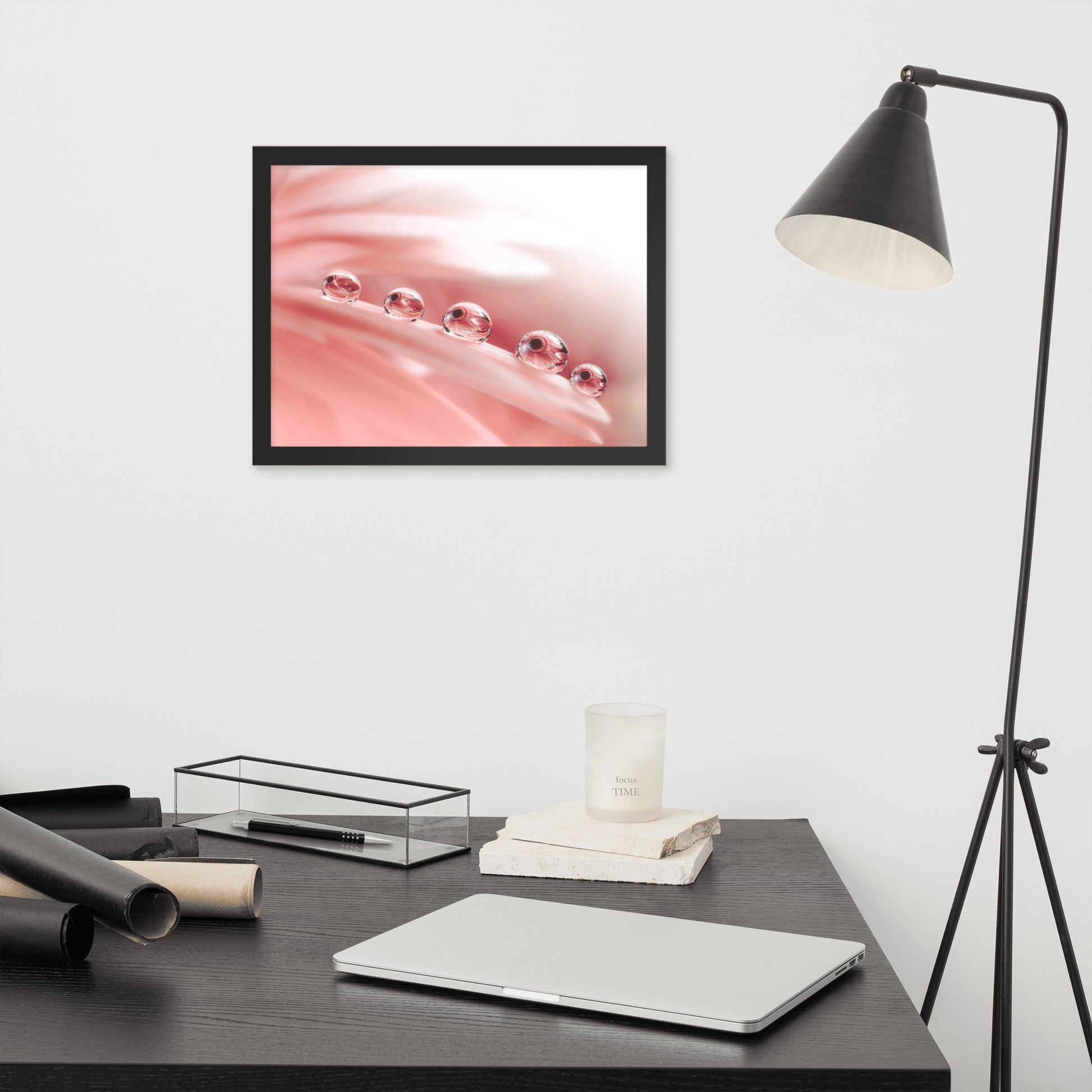 Popular Photography: Dew Drops on Gerbera Daisy Petals Floral Botanical Photograph Shabby Chic - Vintage Framed Wall Art Print