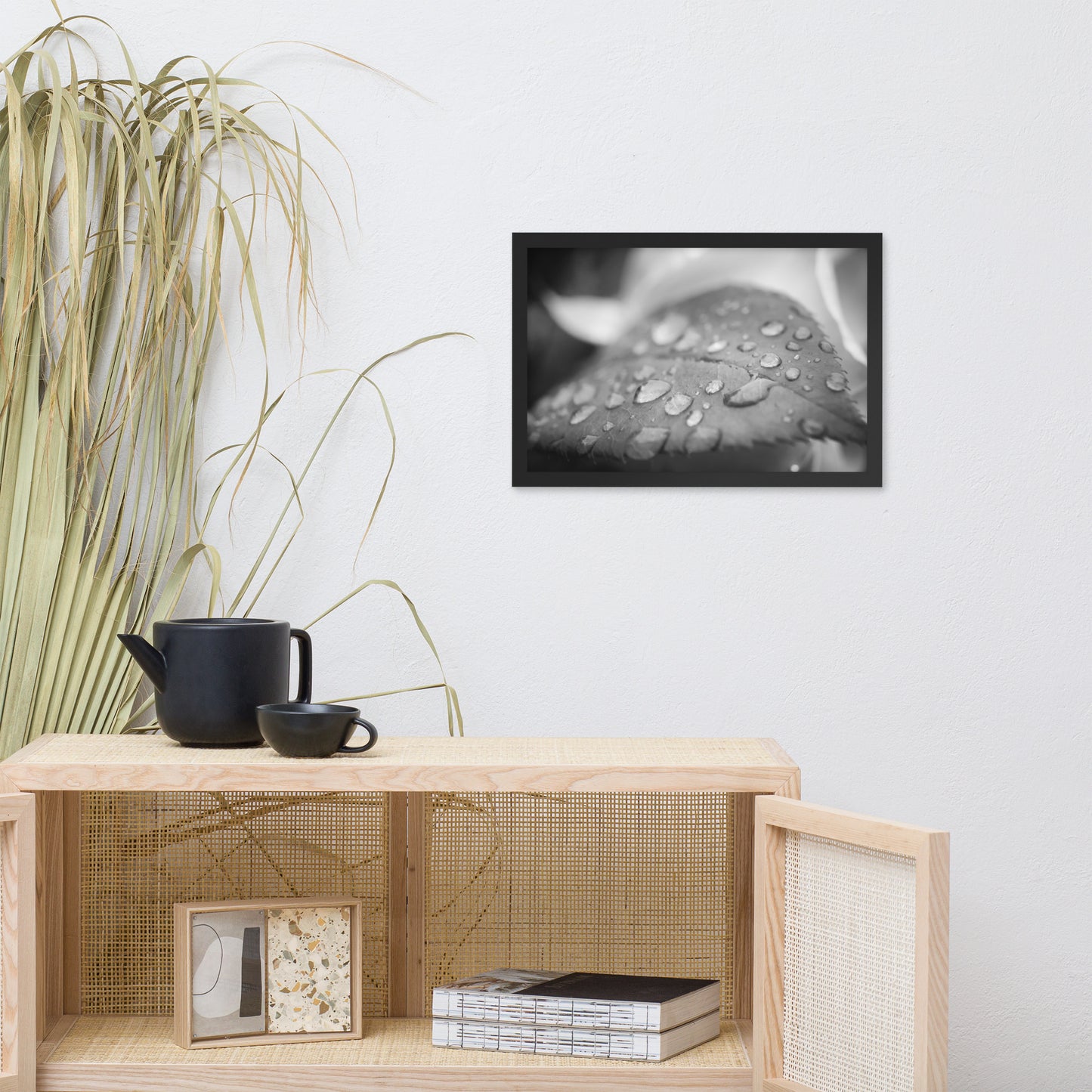 Dew on Leaf of Rose Plant Black and White Botanical Nature Photo Framed Wall Art Print