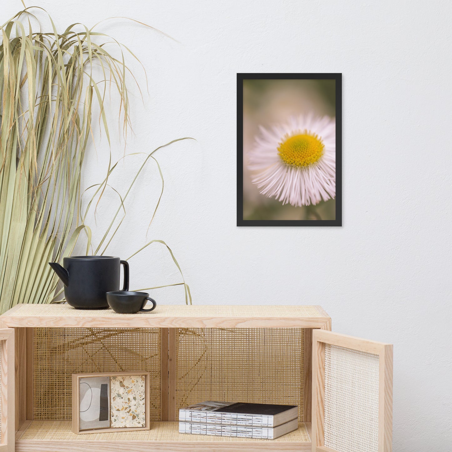 Philadelphia Fleabane Single Bloom Floral Nature Photo Framed Wall Art Print