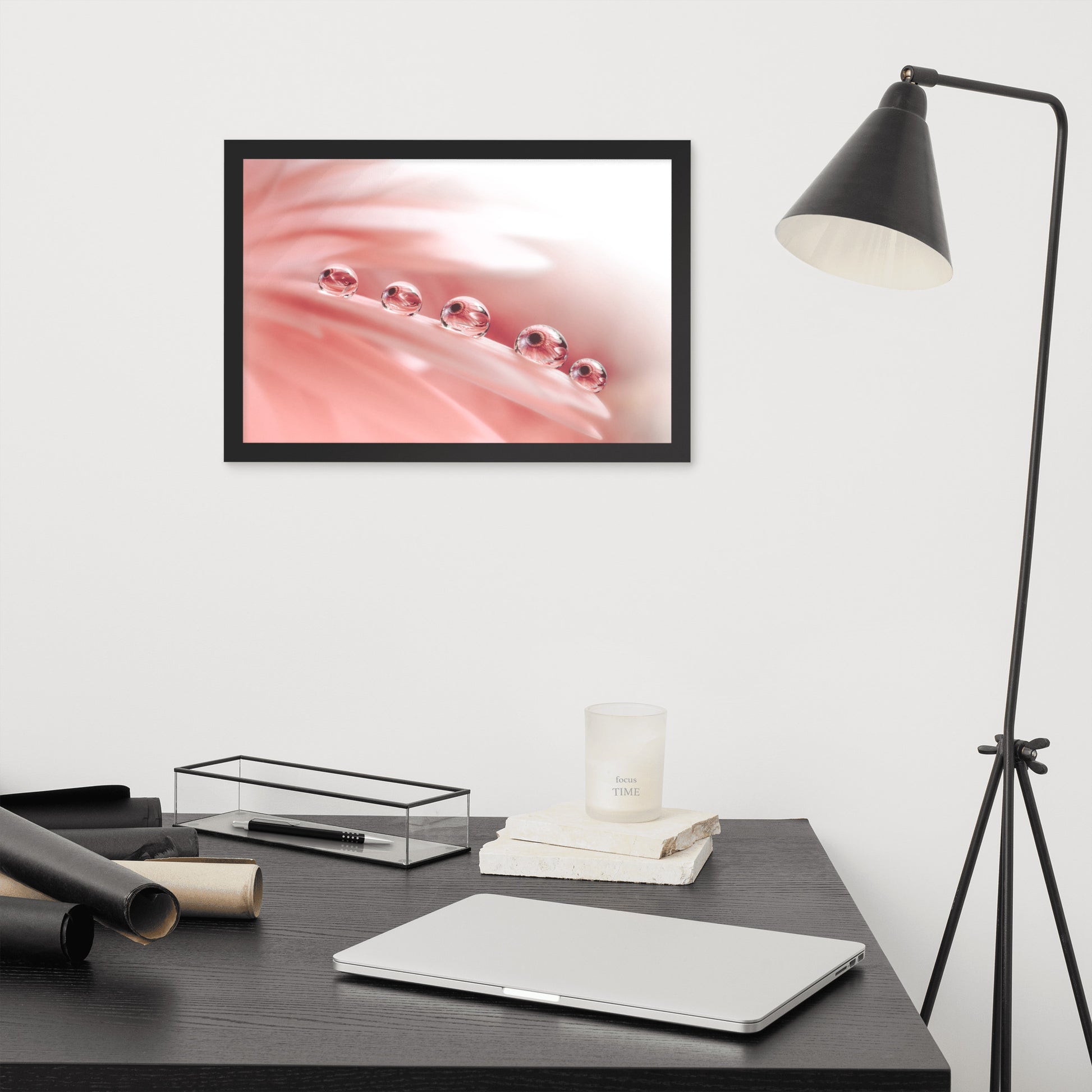 Amazing Photography: Dew Drops on Gerbera Daisy Petals Floral Botanical Photograph Shabby Chic - Vintage Framed Wall Art Print