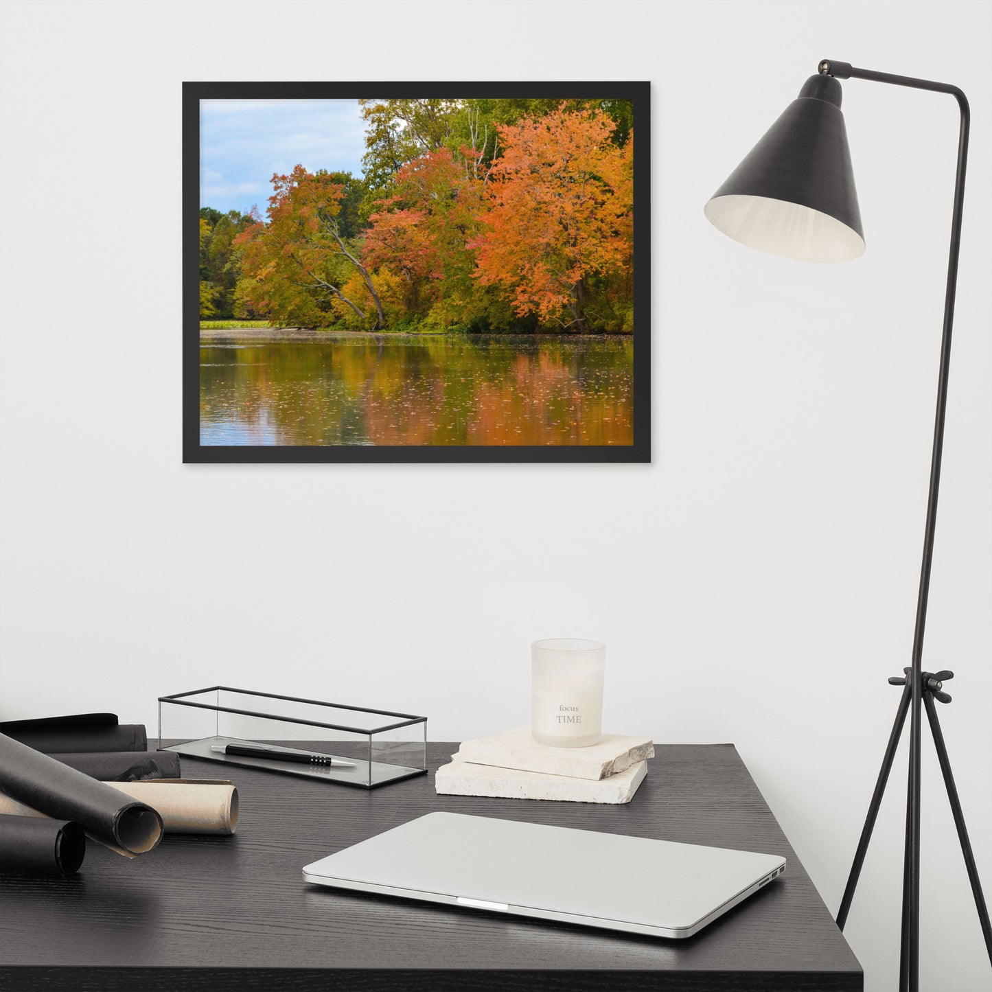 Soothing Wall Decor: Autumn Tree Line - Rural / Country Style Landscape / Nature Photograph Framed Wall Art Print - Wall Decor - Artwork
