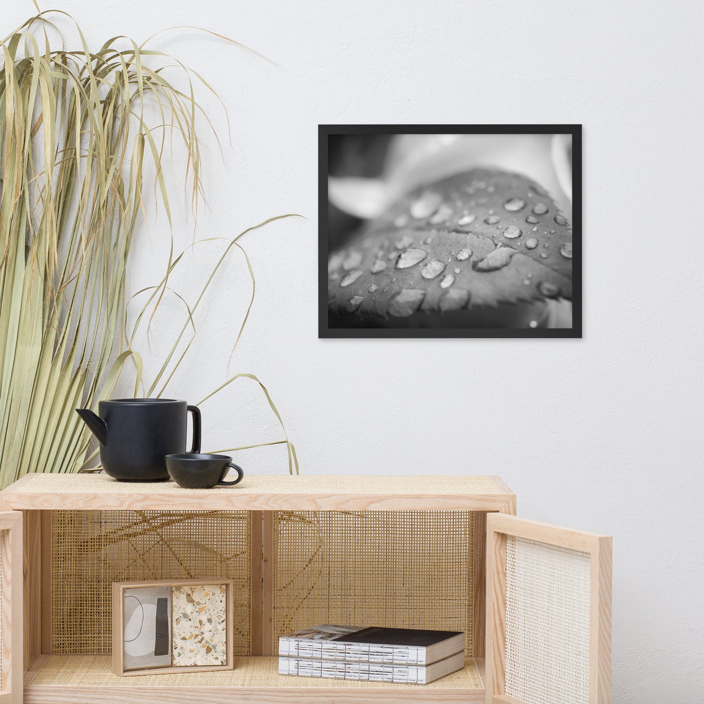 Dew on Leaf of Rose Plant Black and White Botanical Nature Photo Framed Wall Art Print