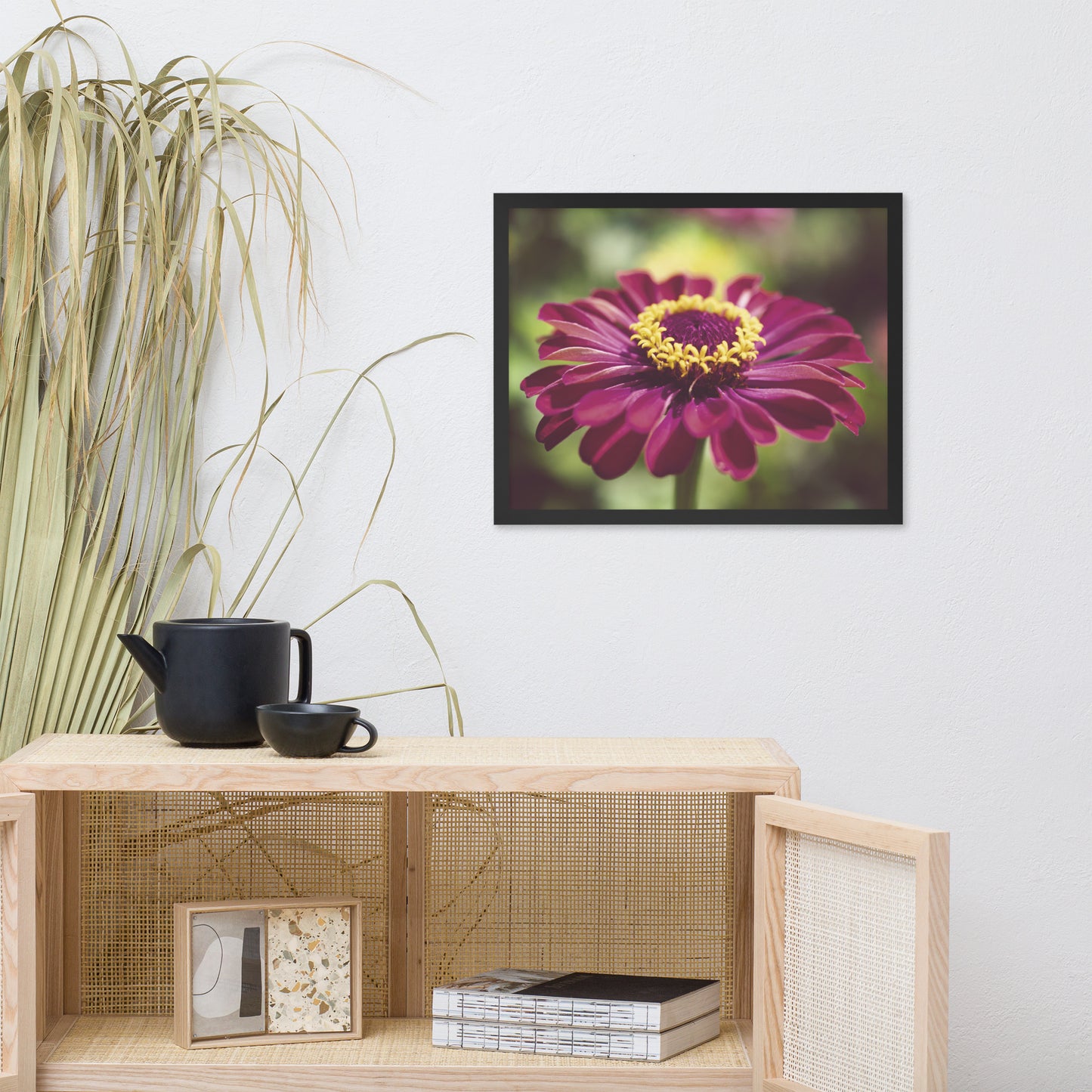 Moody Young-and-Old Age Pink Zinnia Flower Bloom Floral Nature Photo Framed Wall Art Print