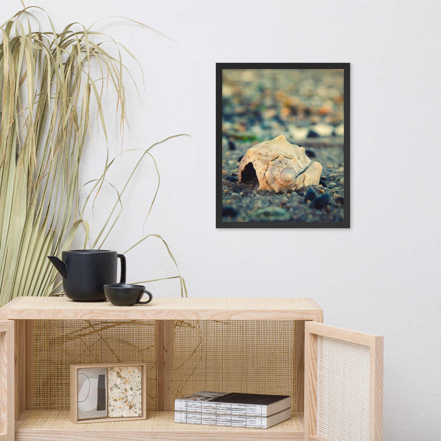 Shell at Bowers 2 Coastal Nature Photo Framed Wall Art Print
