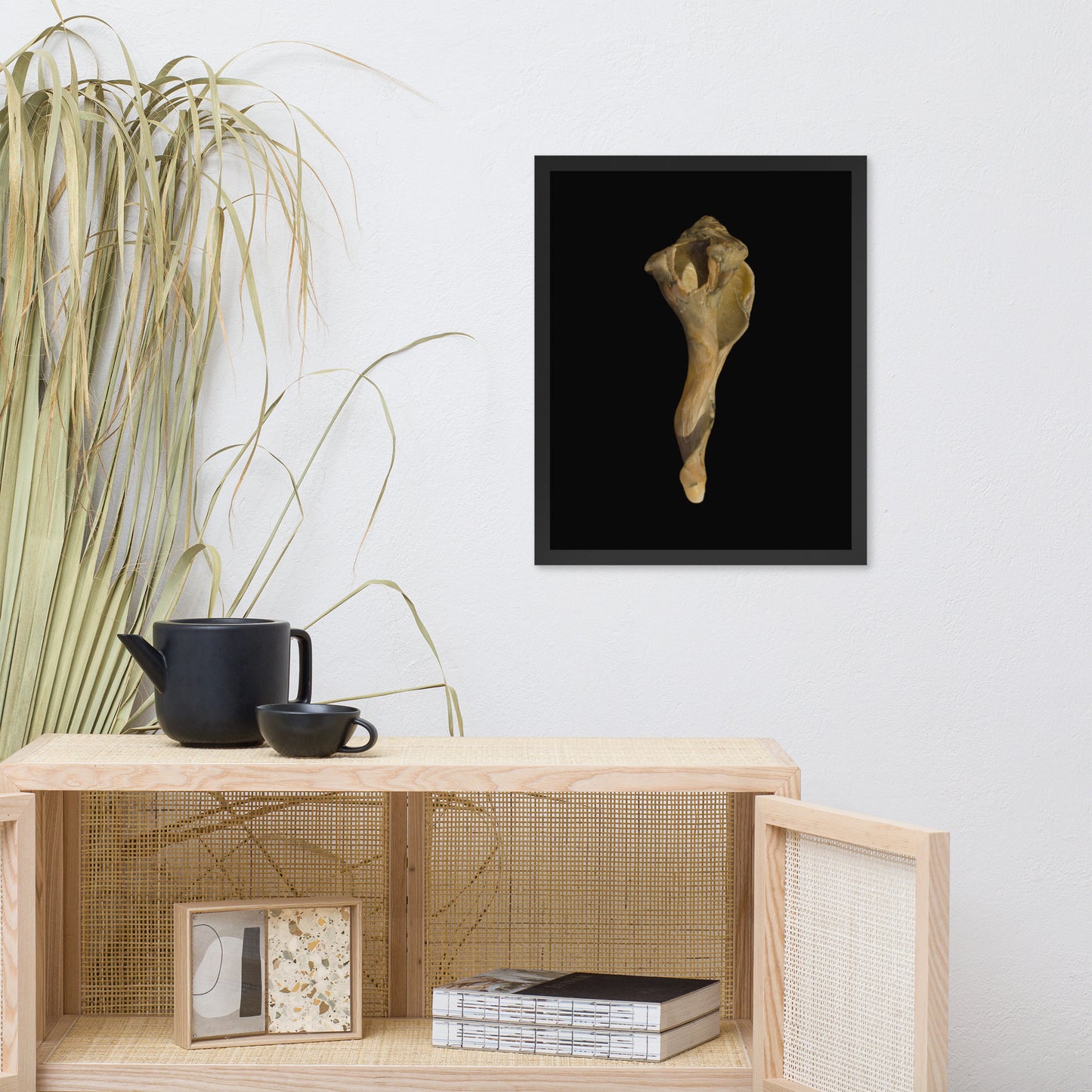 States of Erosion Image 3 Whelk Shell Coastal Nature Photo Framed Wall Art Print