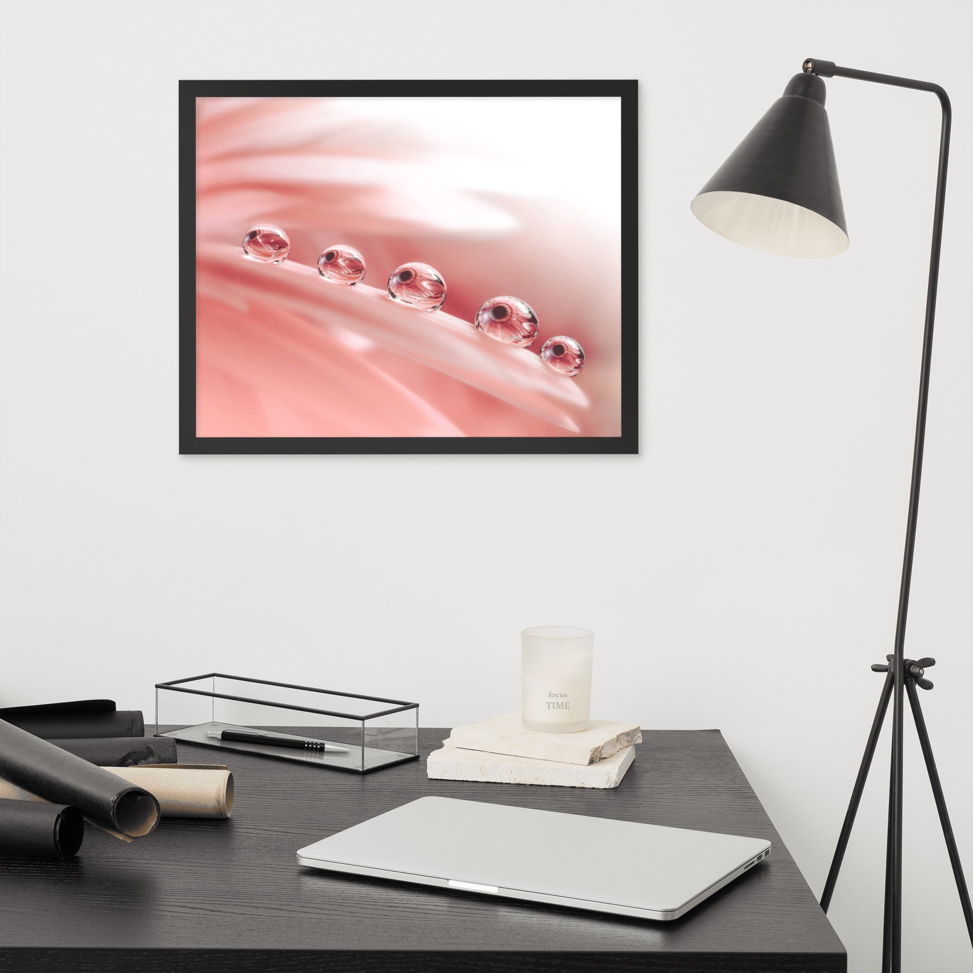 Epic Photo: Dew Drops on Gerbera Daisy Petals Floral Botanical Photograph Shabby Chic - Vintage Framed Wall Art Print