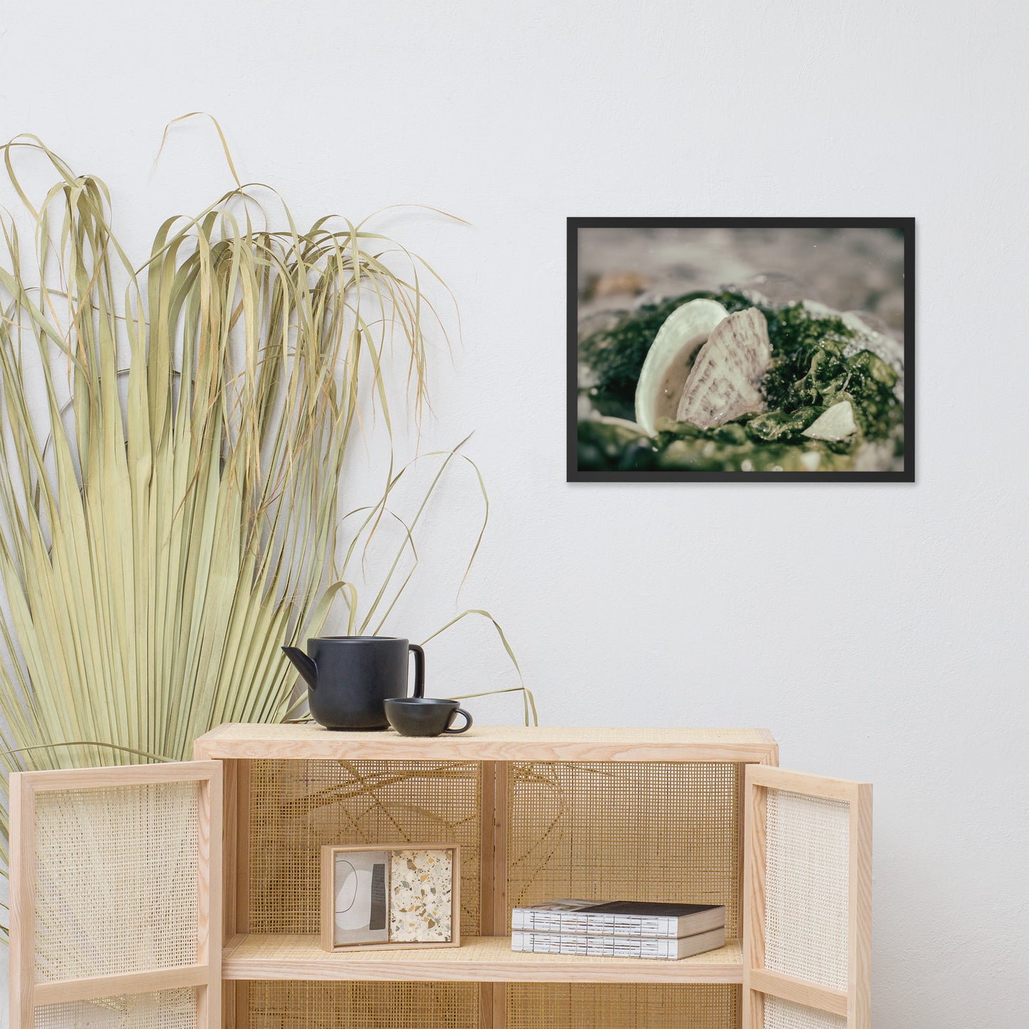 Seaweed and Shells Coastal Nature Photo Framed Wall Art Print