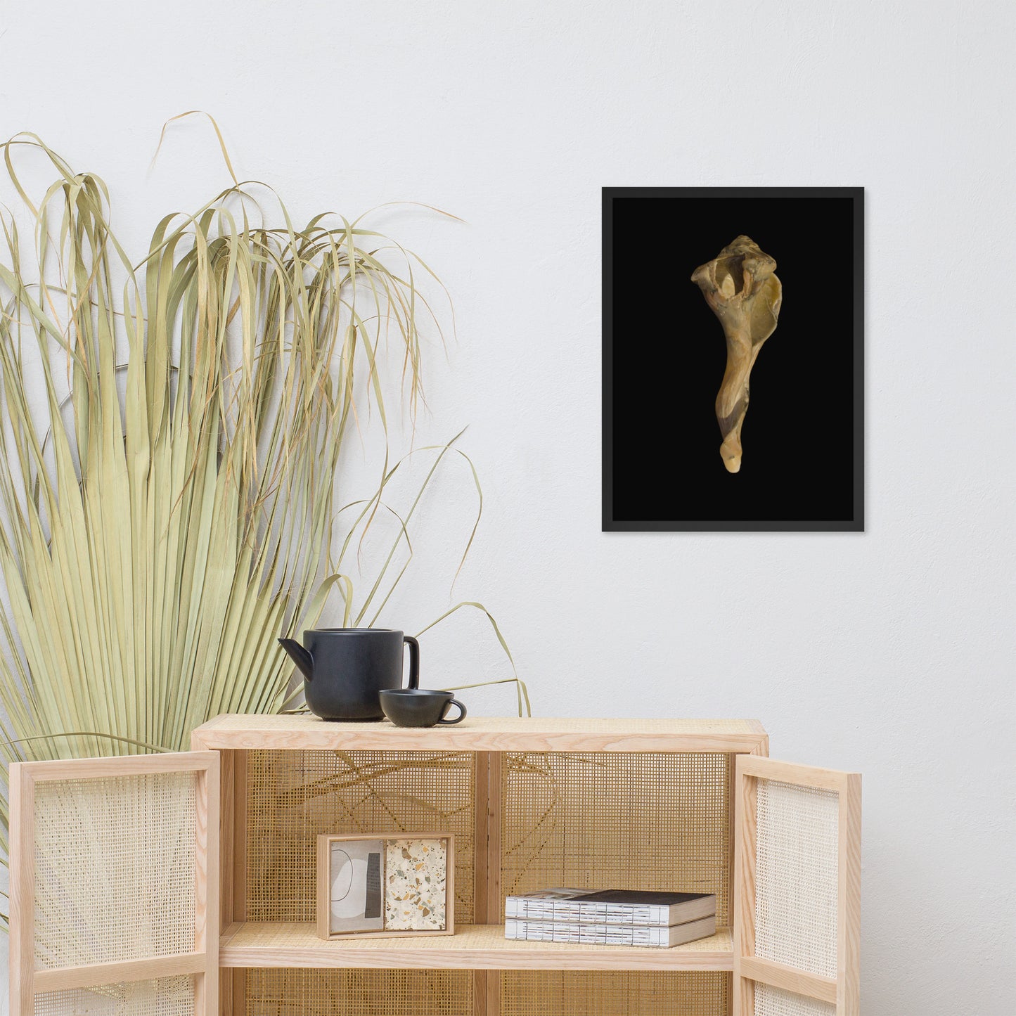 States of Erosion Image 3 Whelk Shell Coastal Nature Photo Framed Wall Art Print
