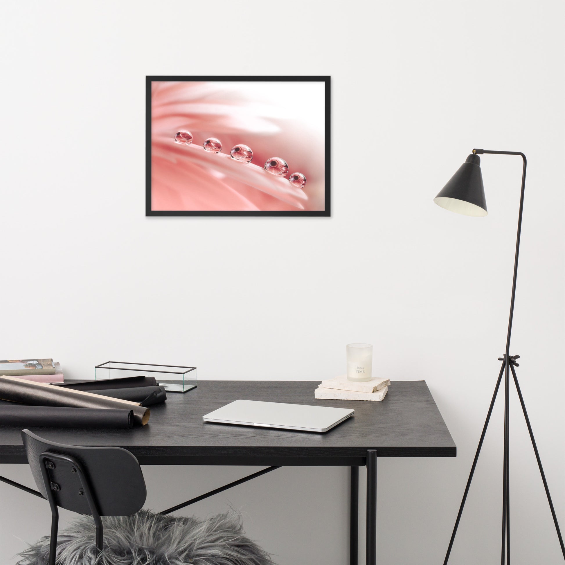 Surreal Photography: Dew Drops on Gerbera Daisy Petals Floral Botanical Photograph Shabby Chic - Vintage Framed Wall Art Print