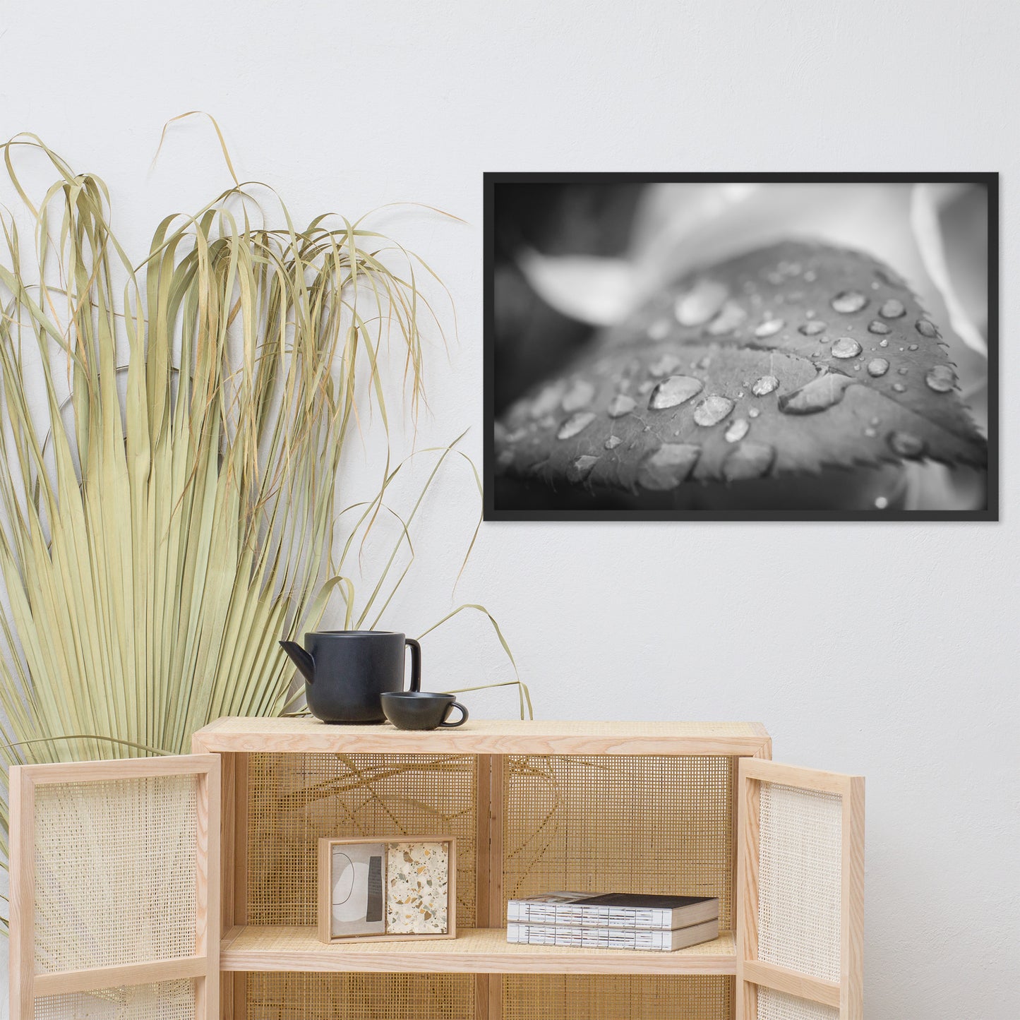 Dew on Leaf of Rose Plant Black and White Botanical Nature Photo Framed Wall Art Print
