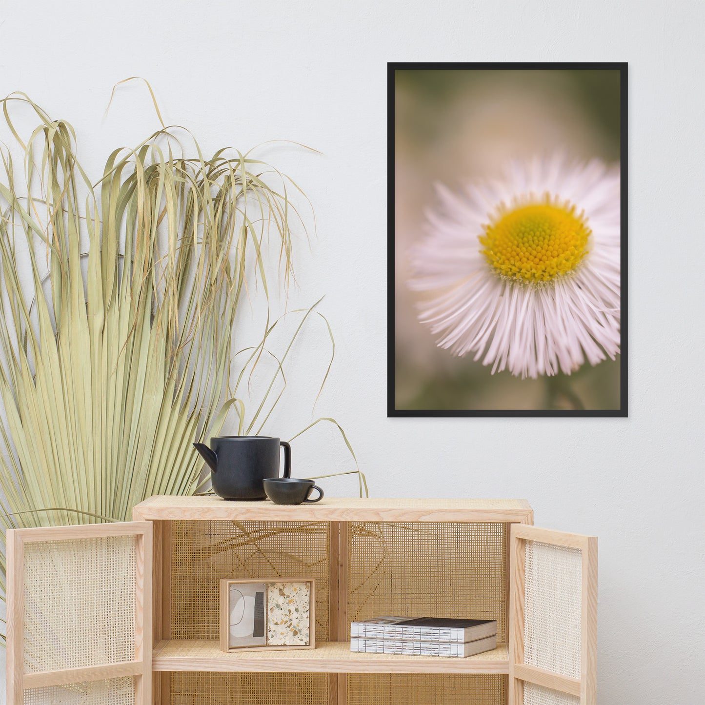 Philadelphia Fleabane Single Bloom Floral Nature Photo Framed Wall Art Print