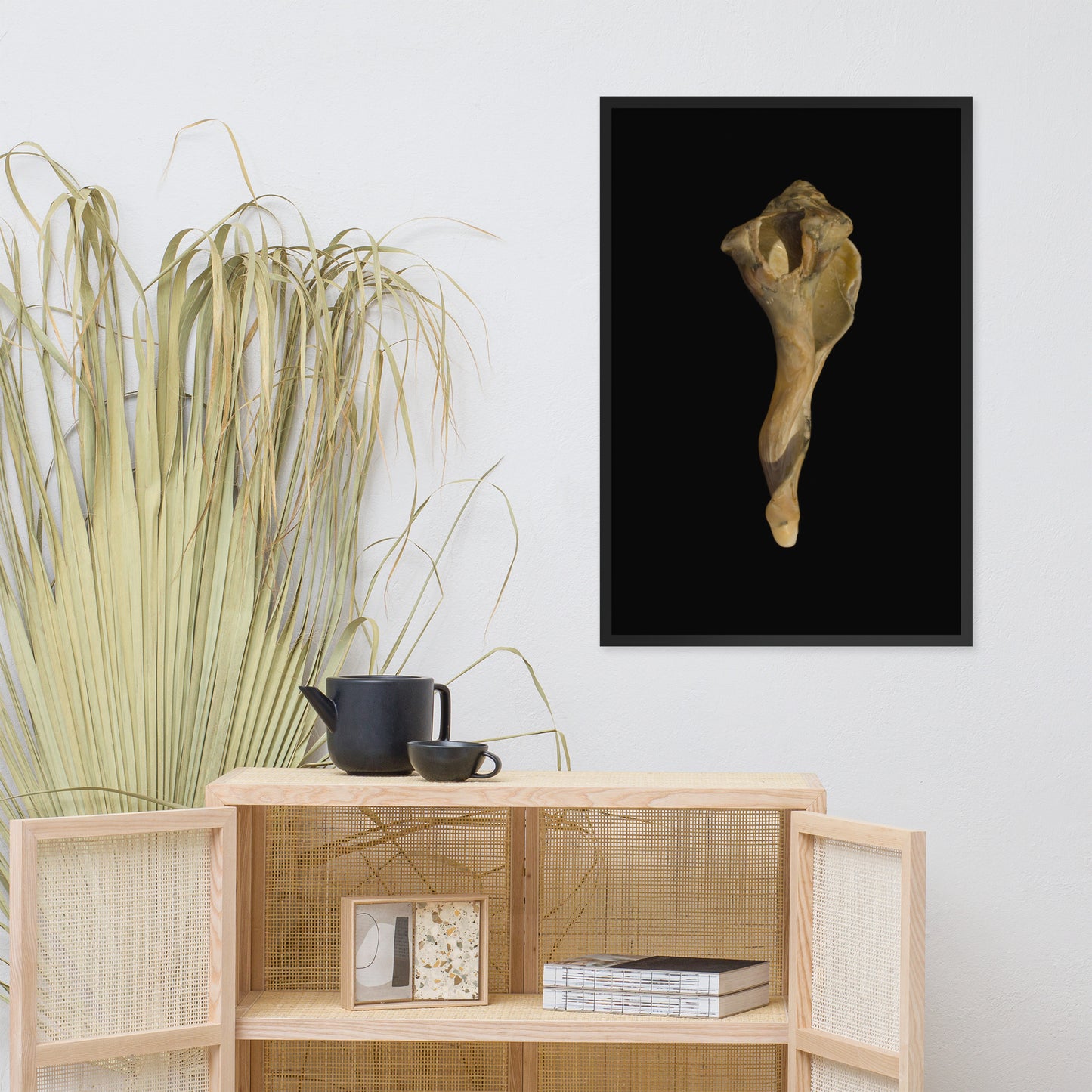 States of Erosion Image 3 Whelk Shell Coastal Nature Photo Framed Wall Art Print