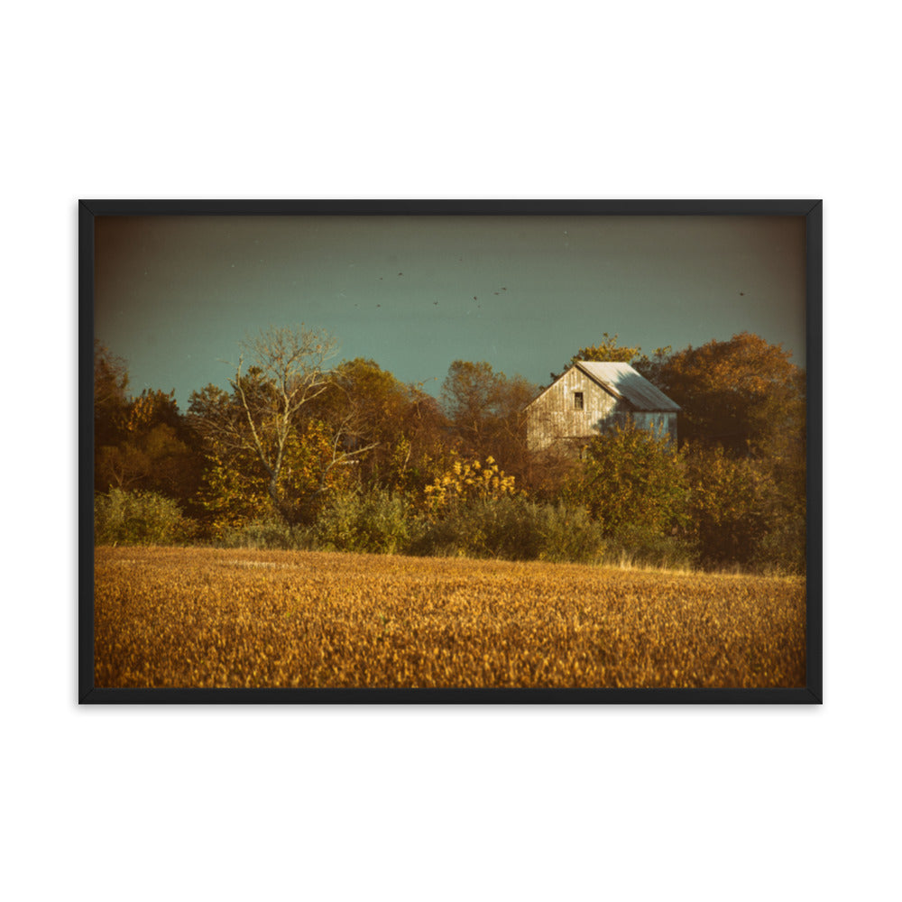 Rustic Prints Wall Art: Abandoned Barn In The Trees Abstract Colorized Rustic / Rural Landscape Photo Paper Prints - Artwork - Wall Decor