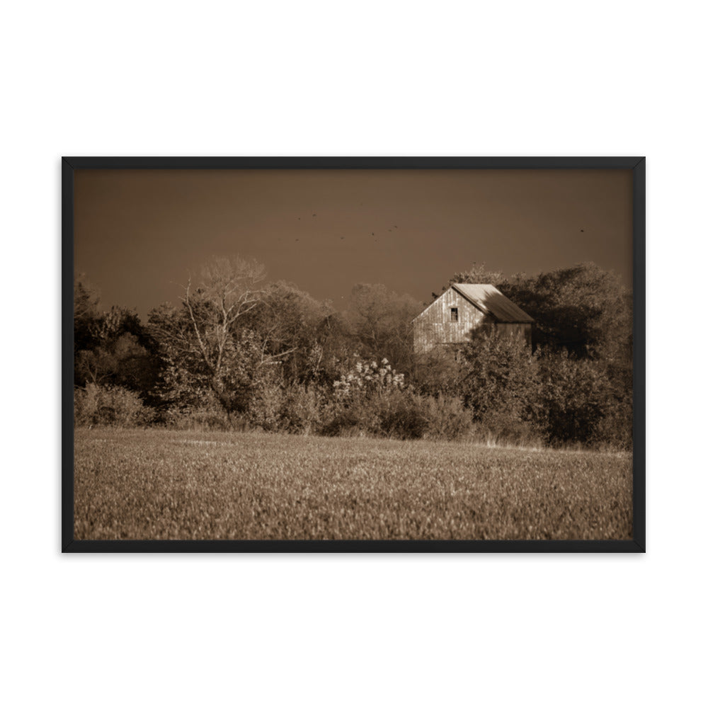 Rustic Accent Wall Decor: Framed Country Wall Art: Abandoned Barn In The Trees Sepia - Rural / Country Style / Landscape / Nature Framed Photo Paper Prints - Artwork - Wall Decor