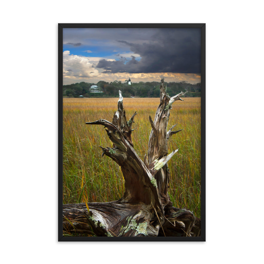 Dead Tree and Amelia Lighthouse Coastal Landscape Photo Framed Wall Art Prints
