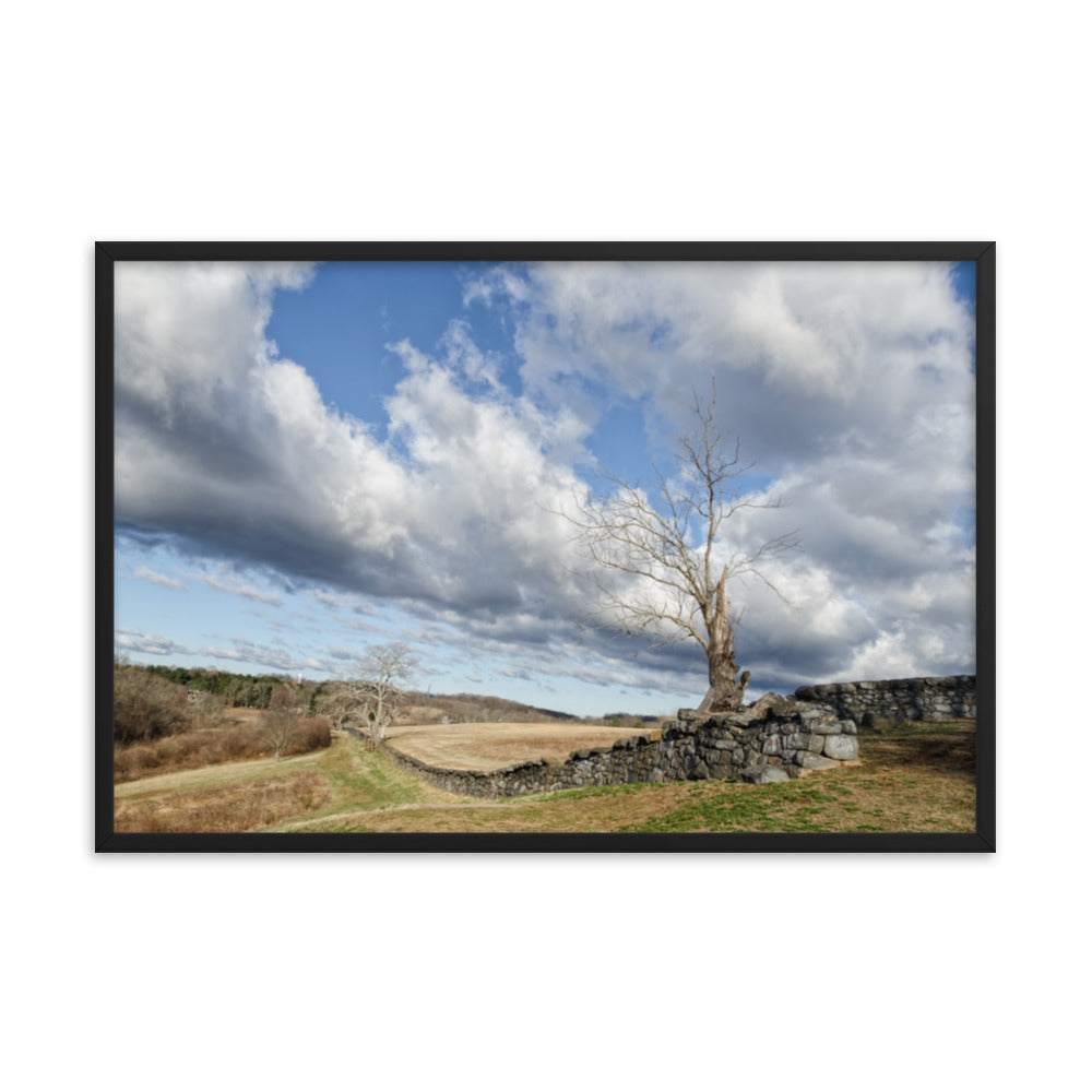 Dead Tree and Stone Wall - Color Framed Photo Wall Art Prints