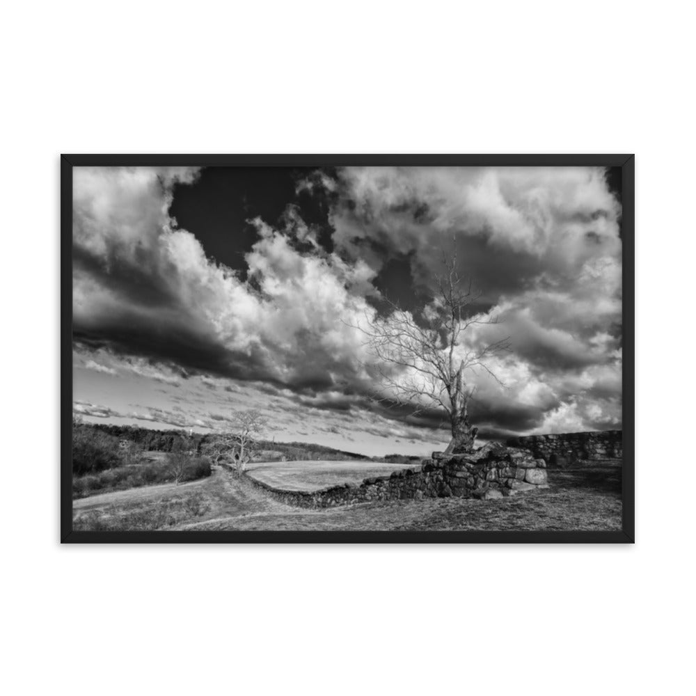 Dead Tree and Stone Wall in Black and White Framed Photo Wall Art Prints